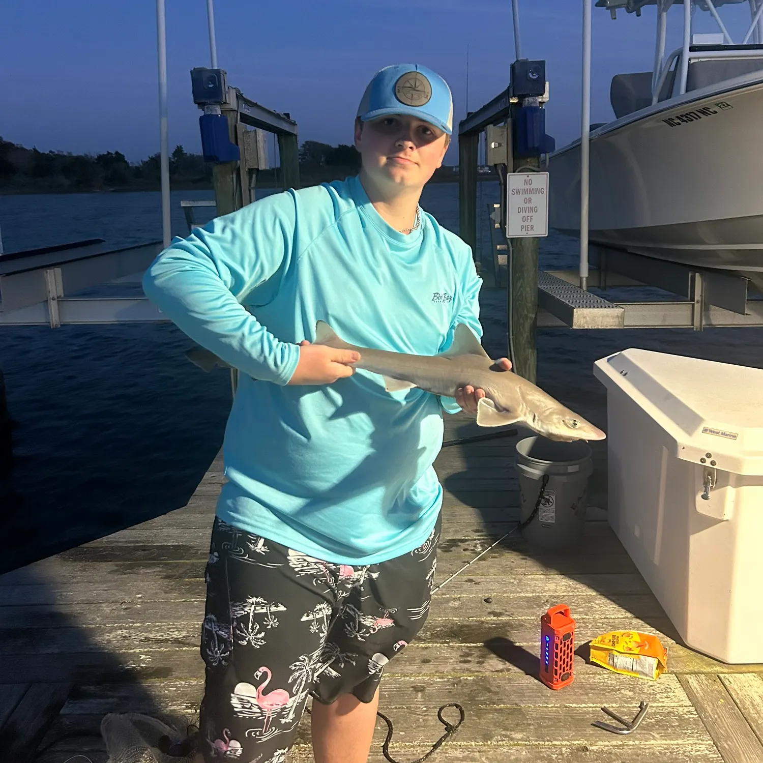 The most recent Dusky smooth-hound catches on Fishbrain