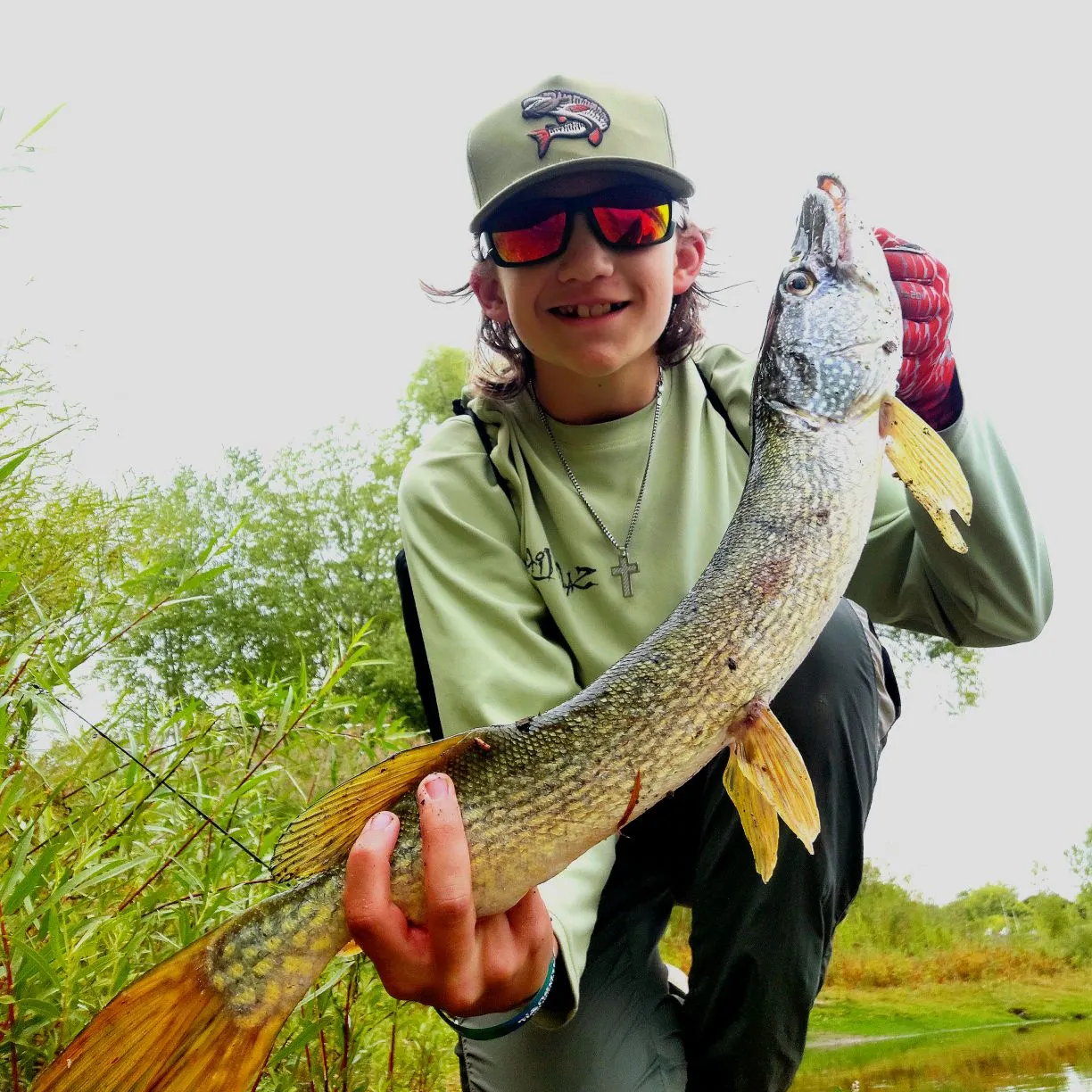 Northern pike caught on Fishbrain