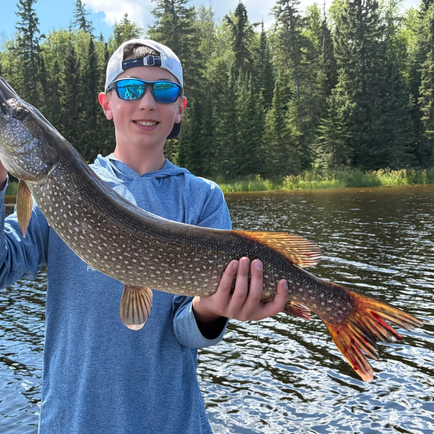 The most recent Northern pike catches on Fishbrain