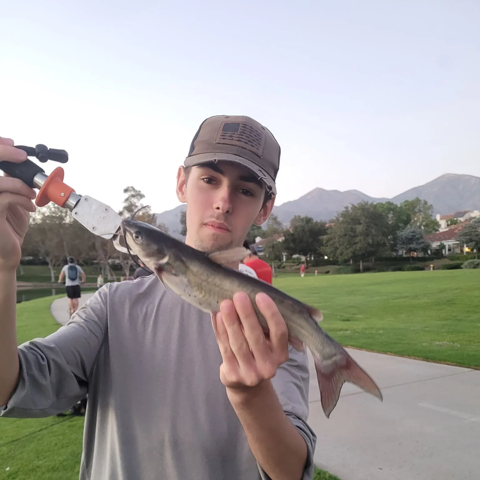 Channel catfish caught on Fishbrain