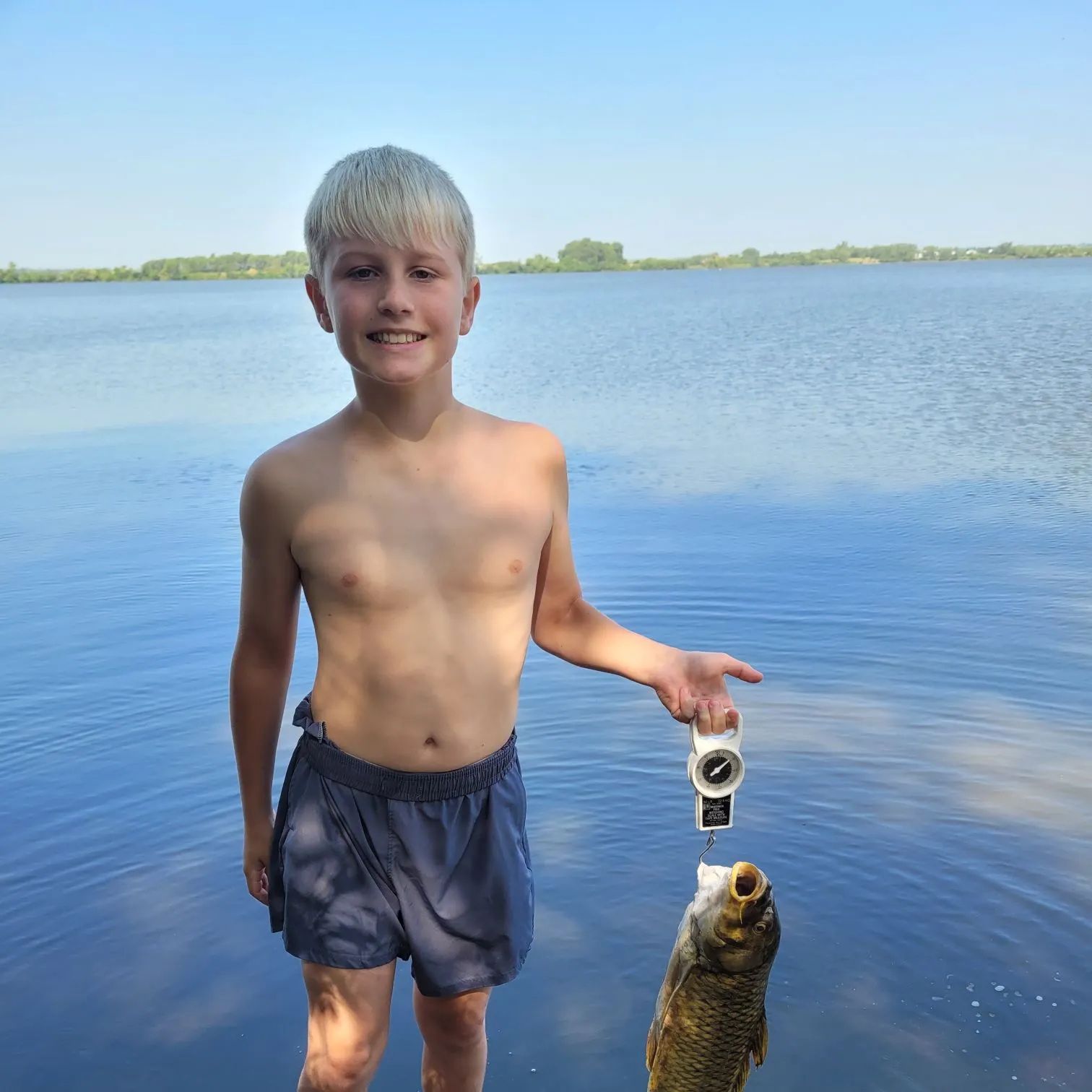 Common carp caught on Fishbrain
