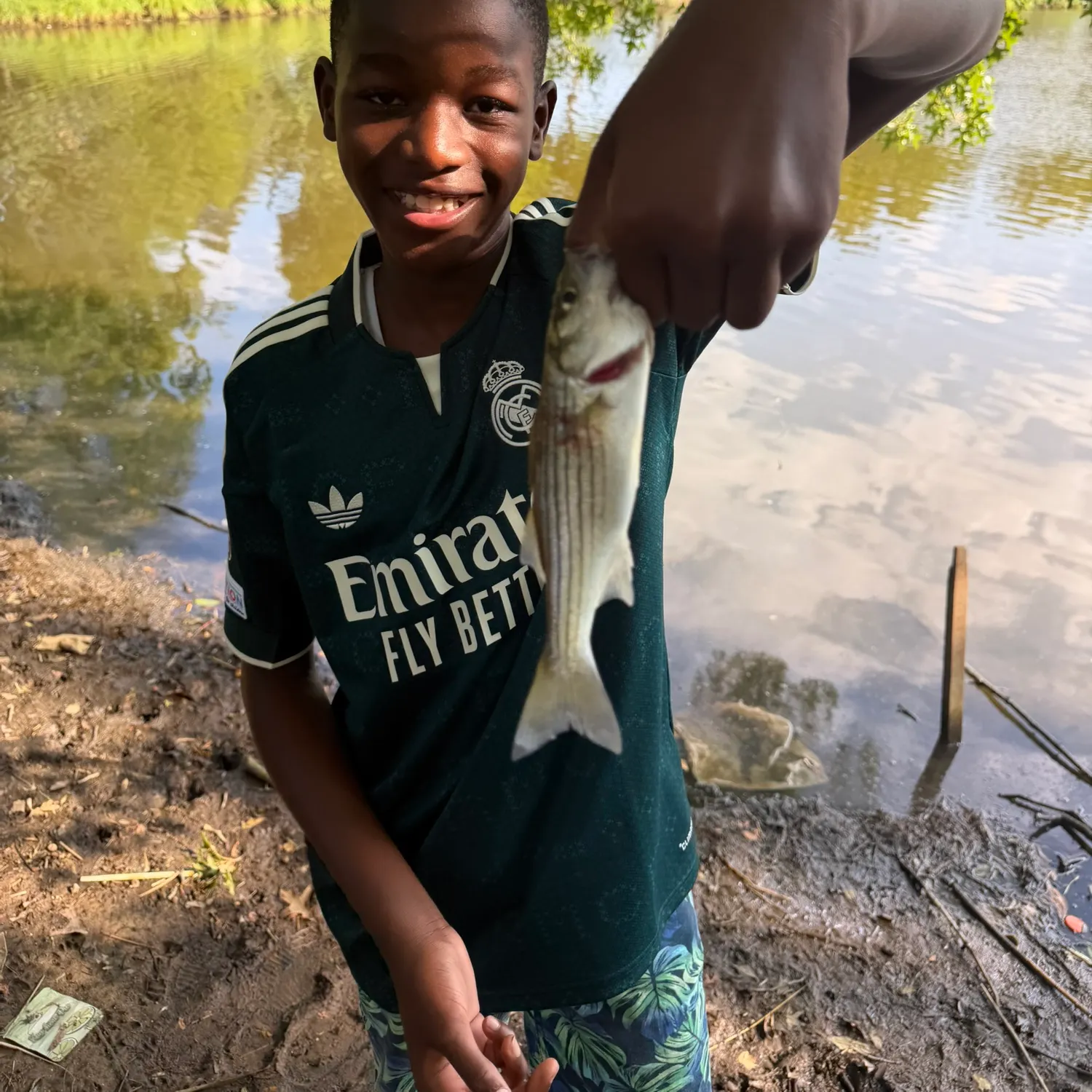 Striped bass caught on Fishbrain