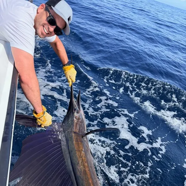 The most recent Indo-Pacific sailfish catches on Fishbrain