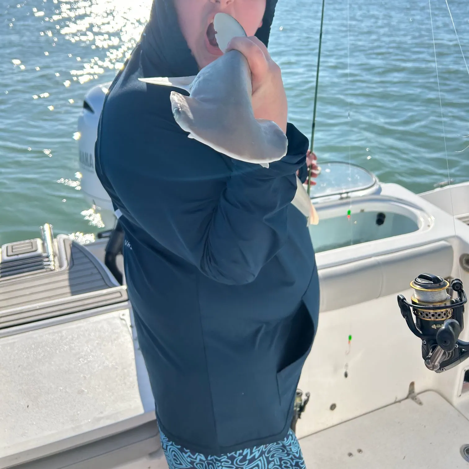 Bonnethead shark caught on Fishbrain