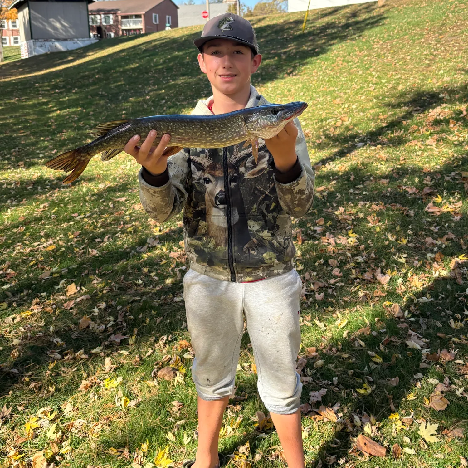 Northern pike caught on Fishbrain