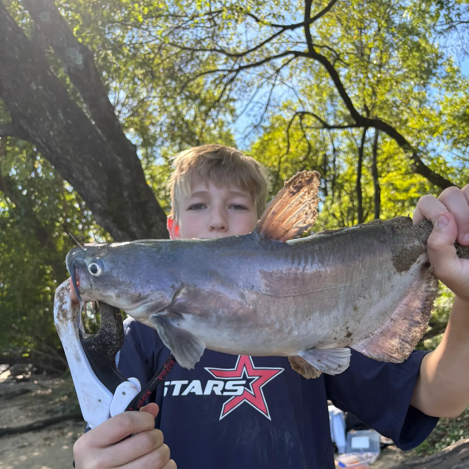 Blue catfish caught on Fishbrain