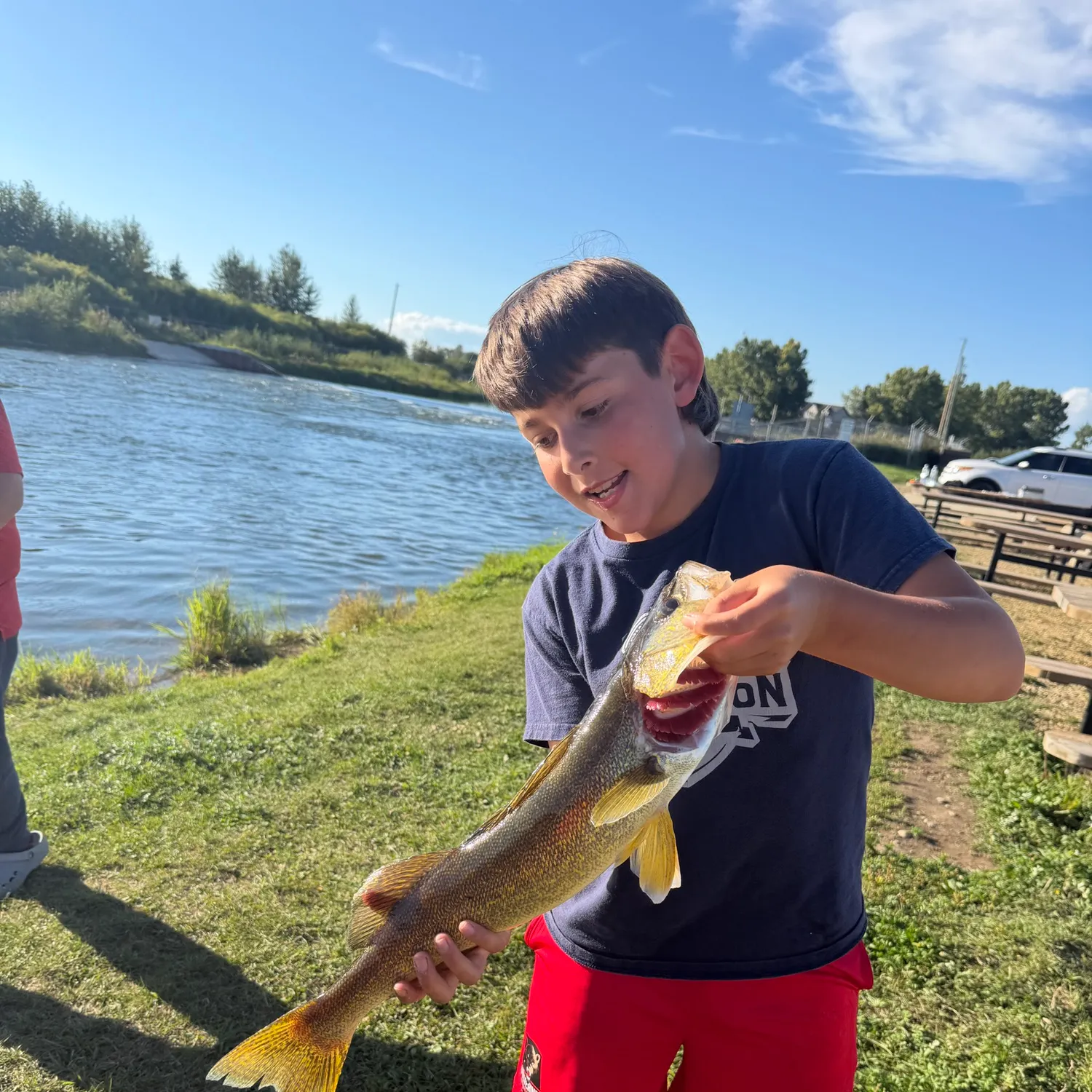 Walleye caught on Fishbrain
