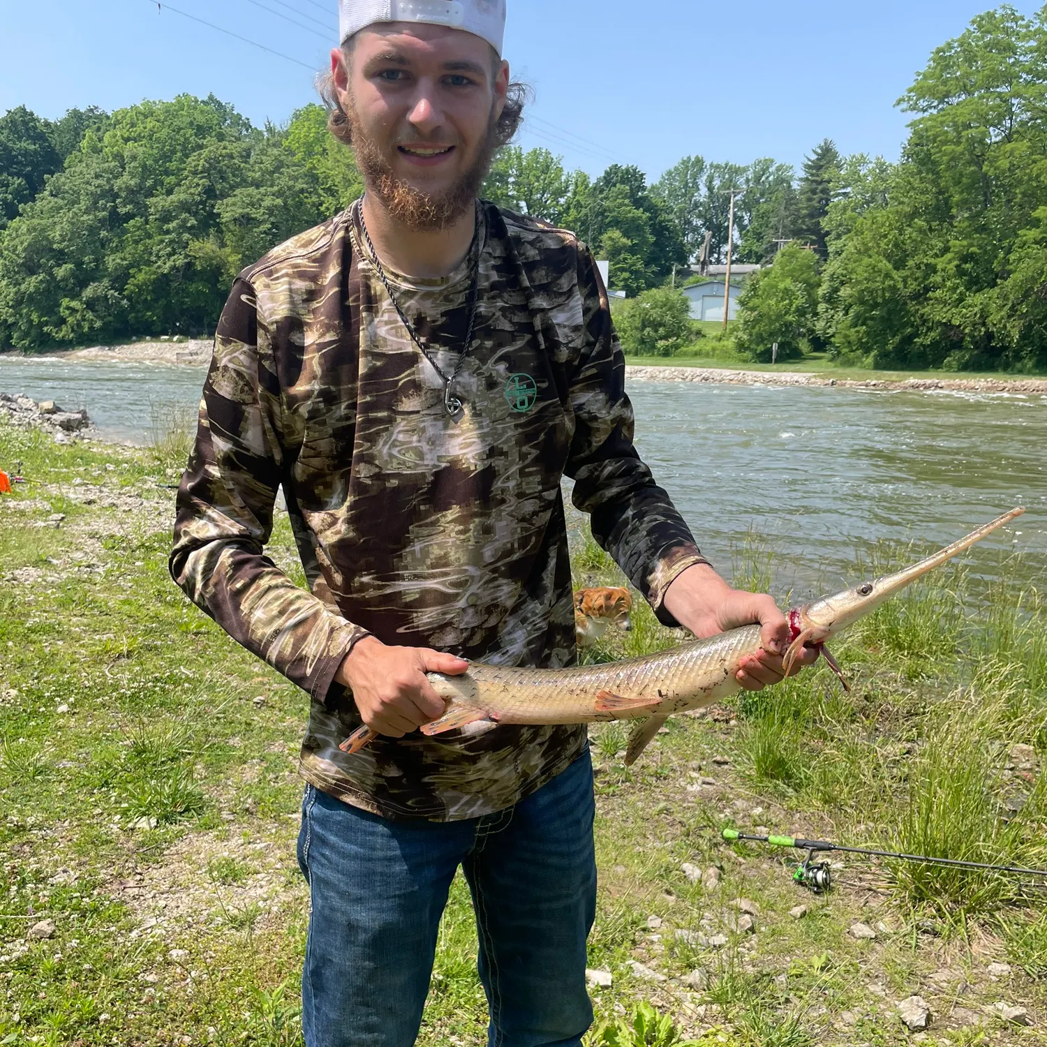 The most recent Longnose gar catches on Fishbrain