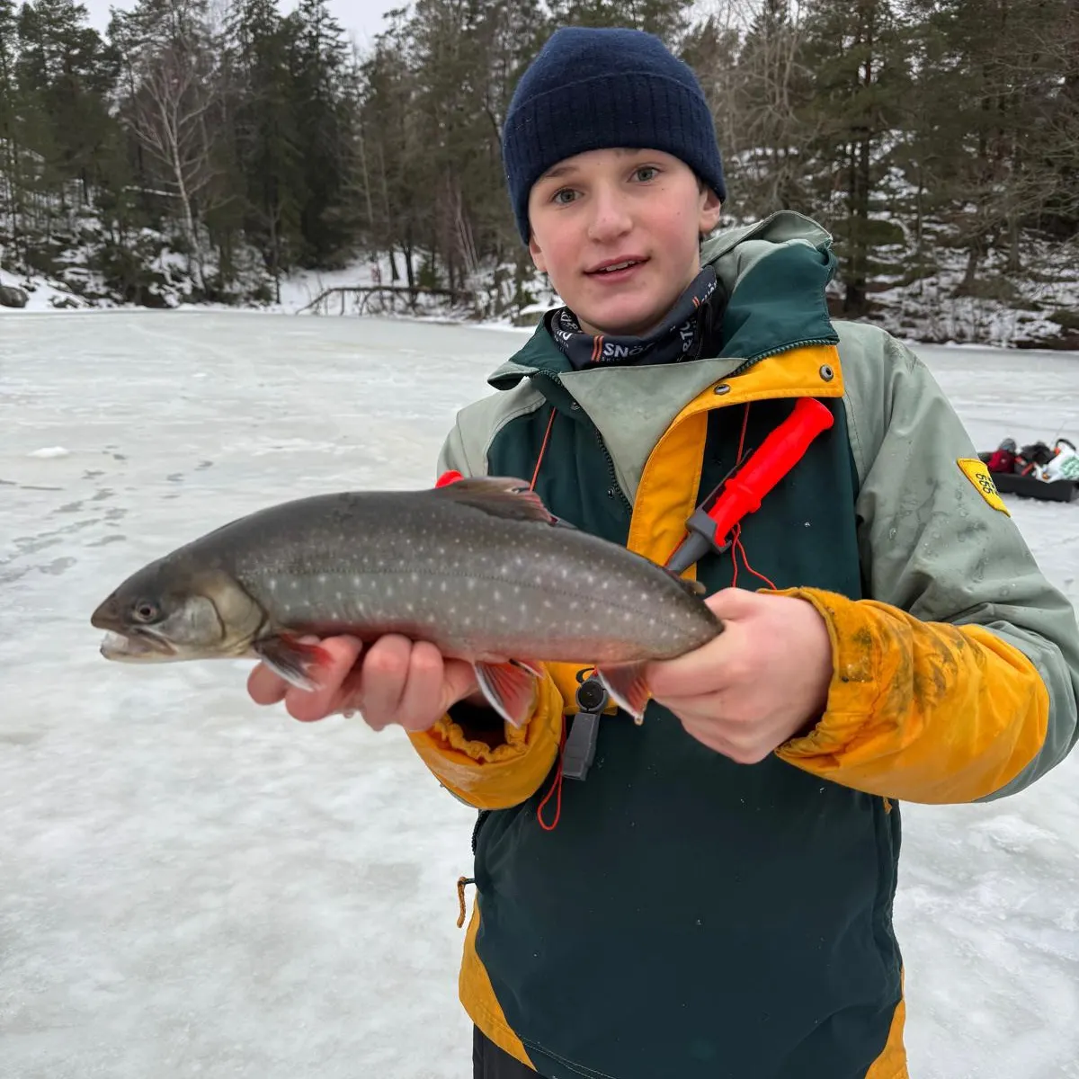 The most recent Arctic char catches on Fishbrain