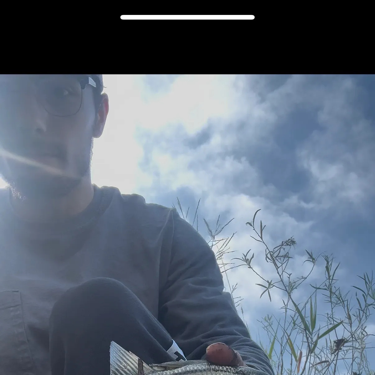 Striped bass caught on Fishbrain
