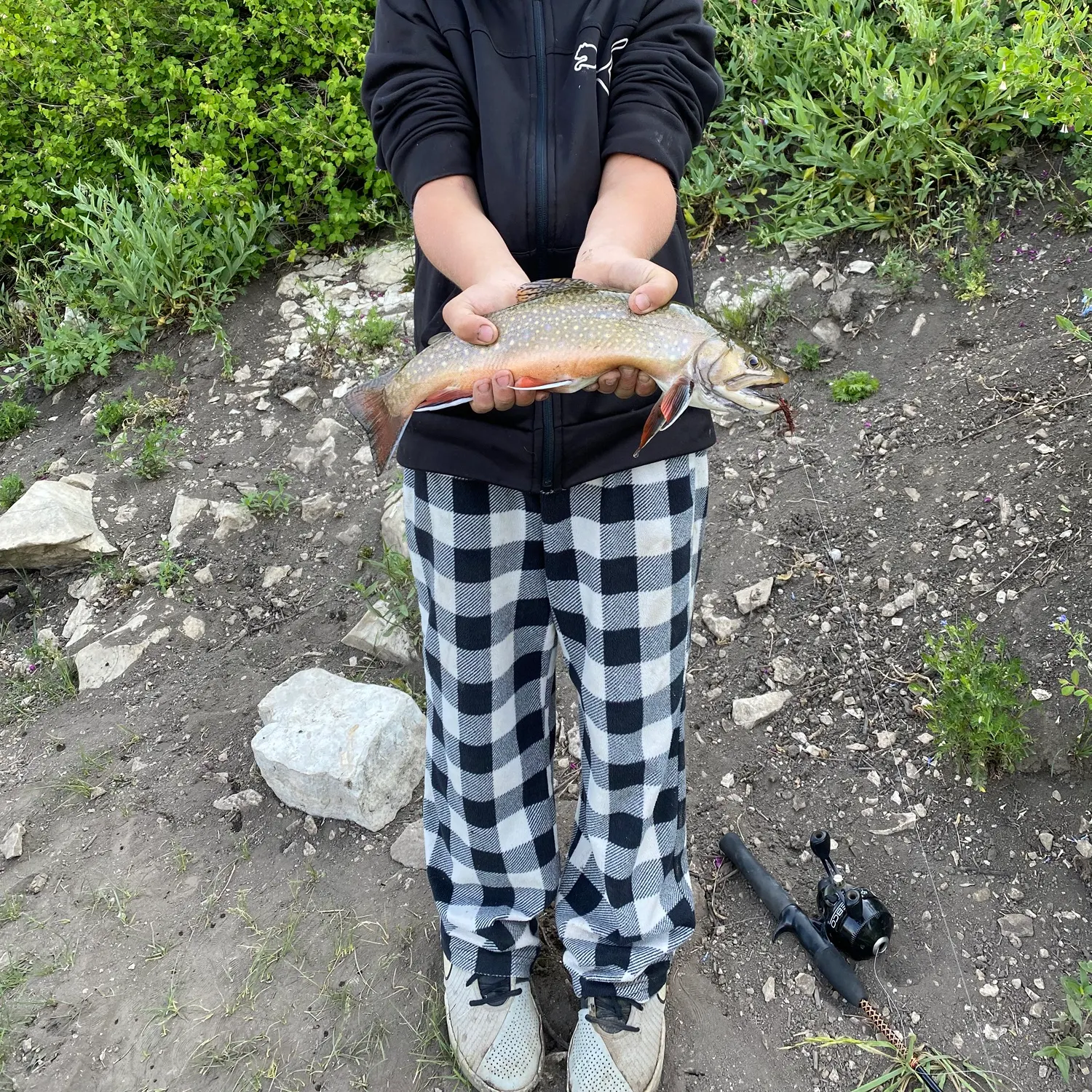 Brook trout caught on Fishbrain