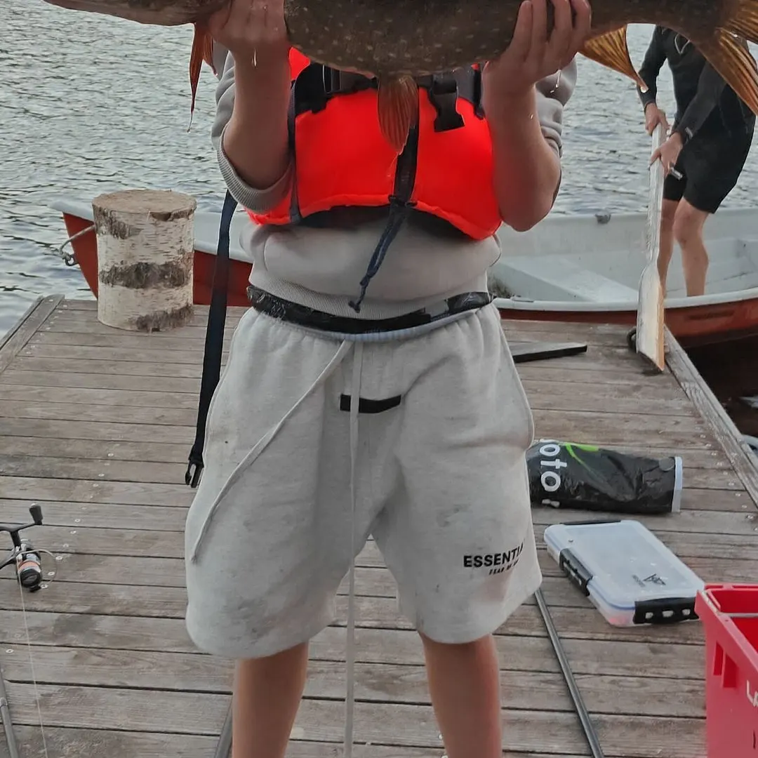 Northern pike caught on Fishbrain
