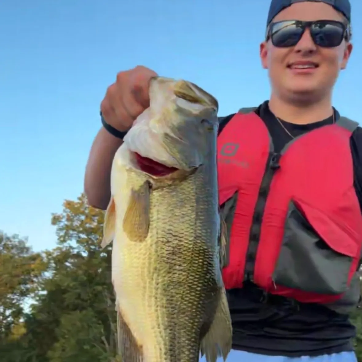 Largemouth bass caught on Fishbrain