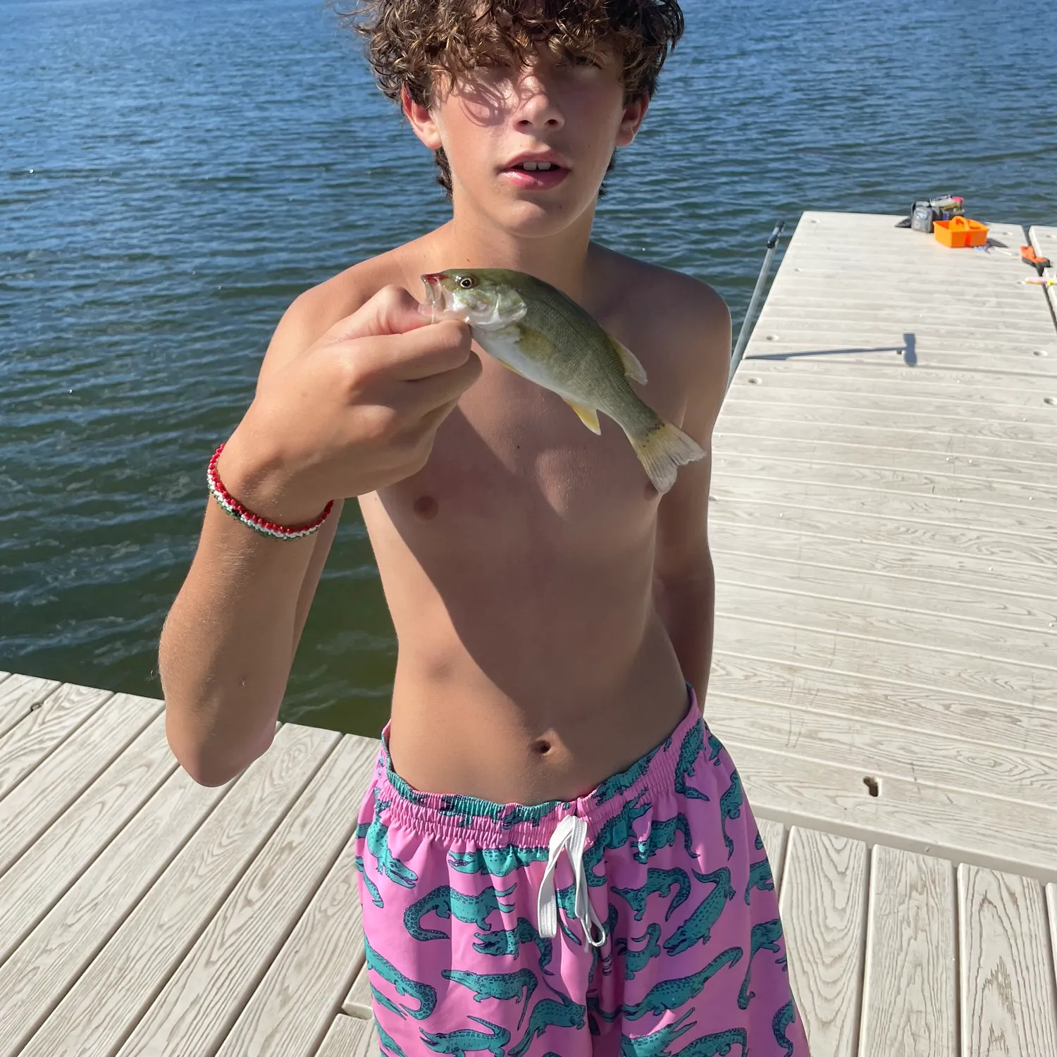 Smallmouth bass caught on Fishbrain