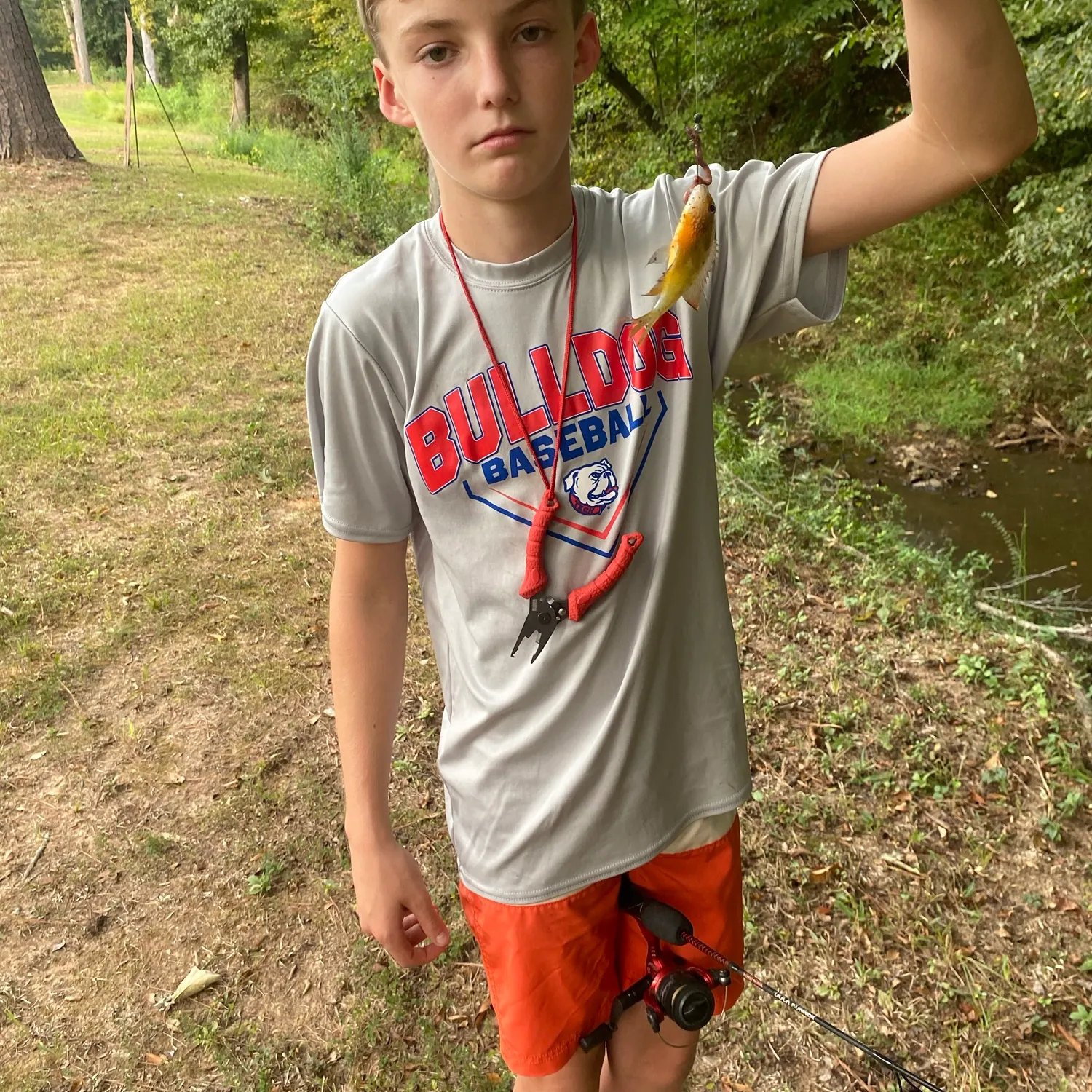 Bluegill caught on Fishbrain