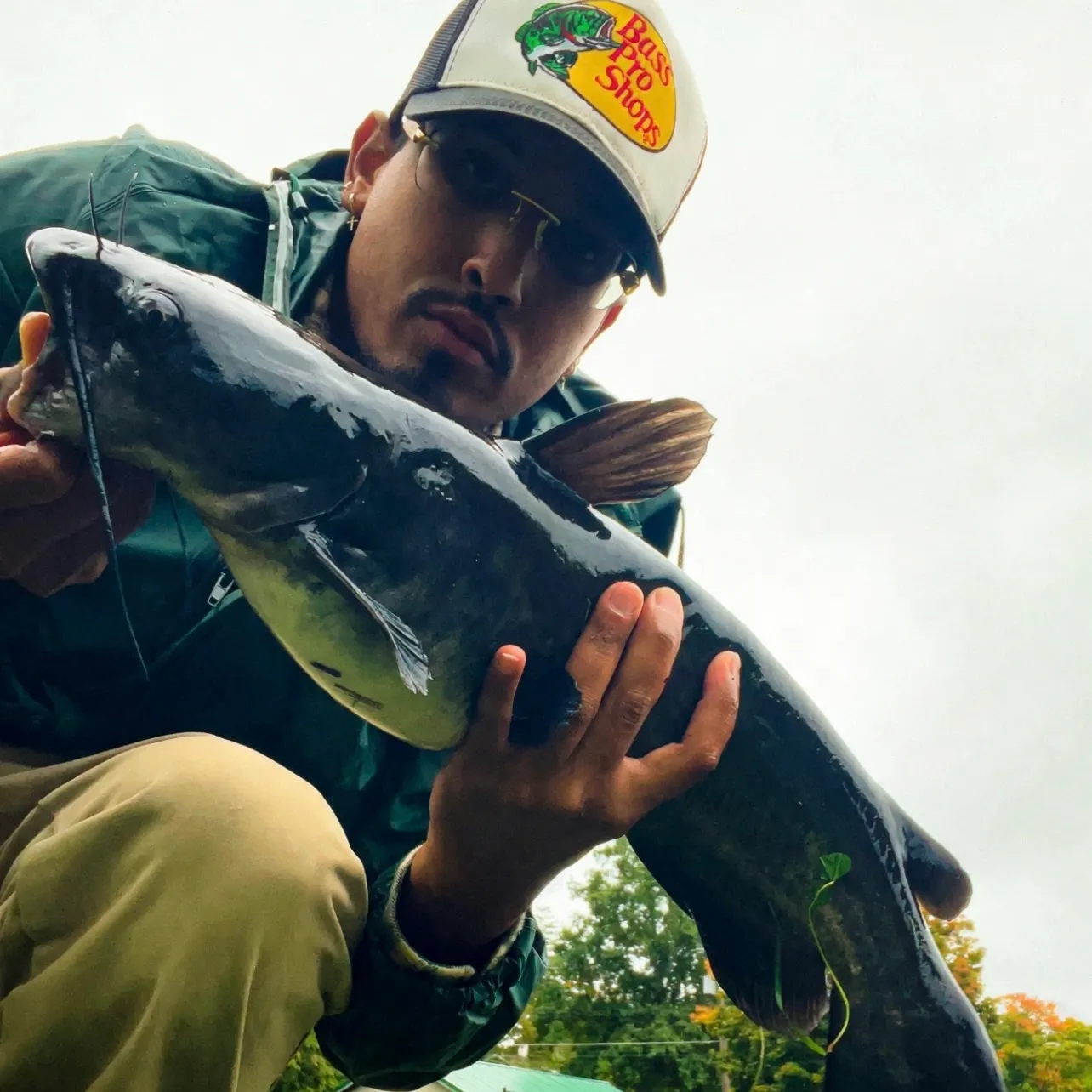 Channel catfish caught on Fishbrain