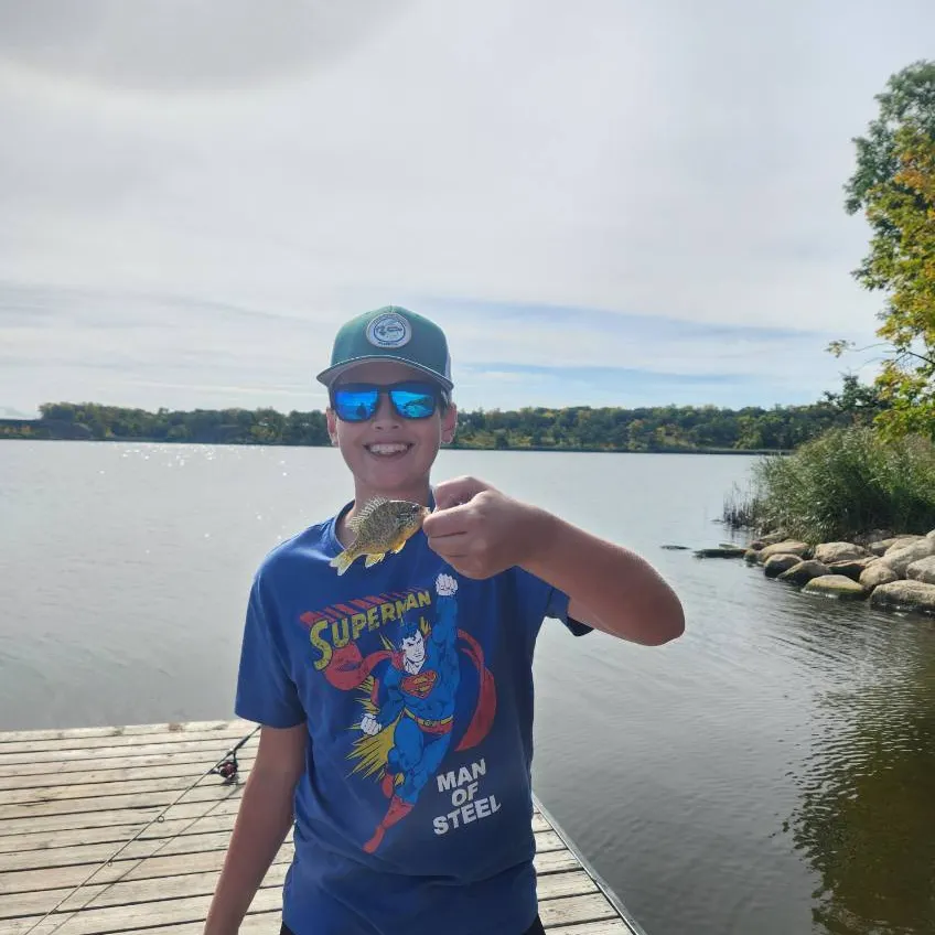 Pumpkinseed caught on Fishbrain