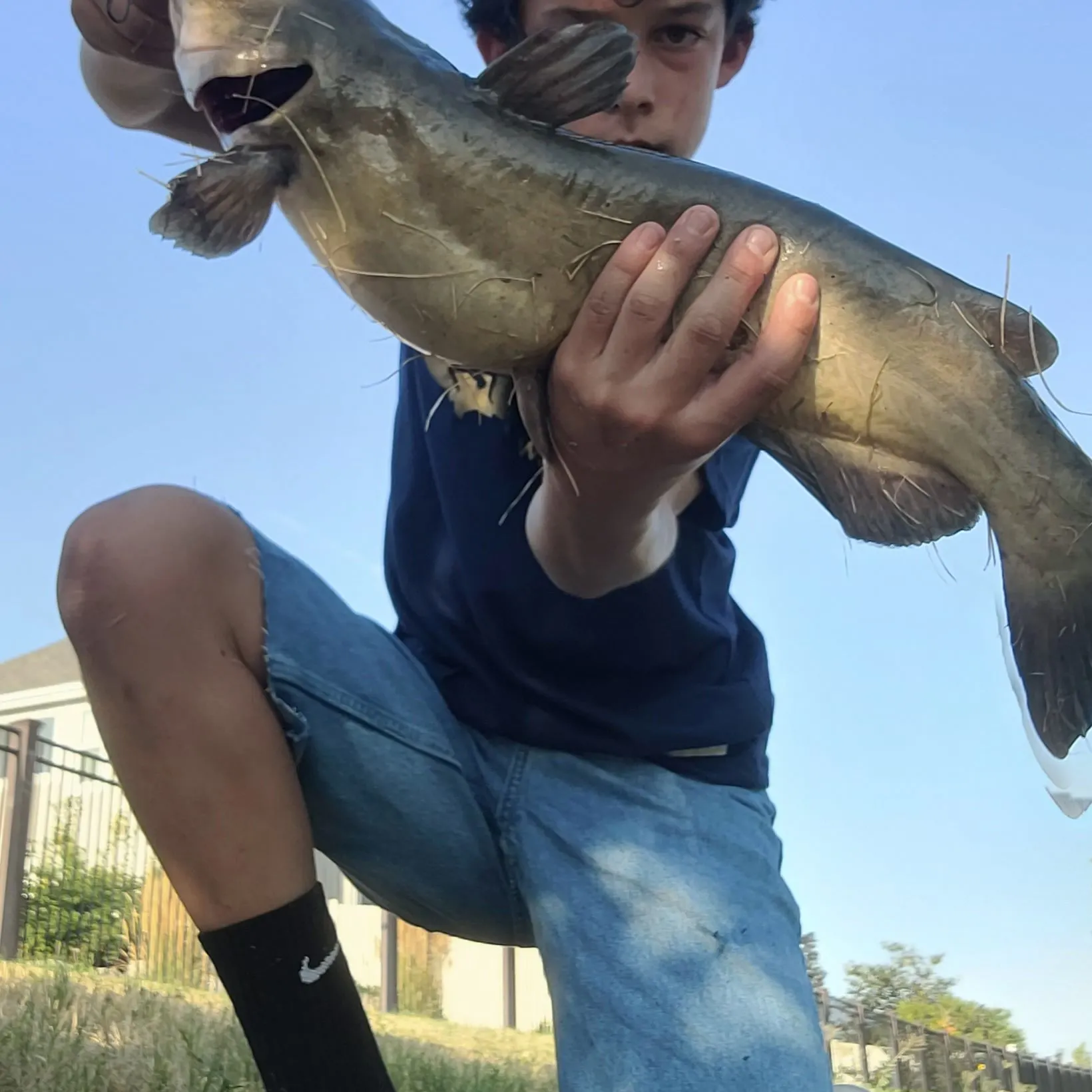 catch
