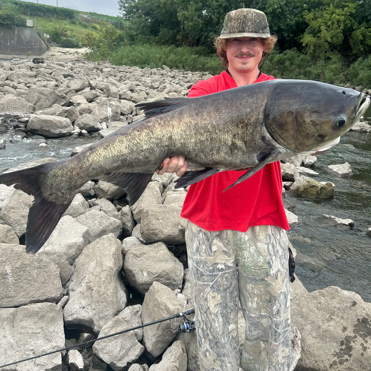 The most recent Bighead carp catches on Fishbrain
