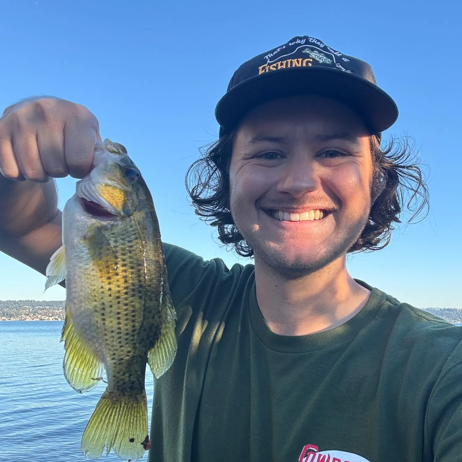 Rock bass caught on Fishbrain