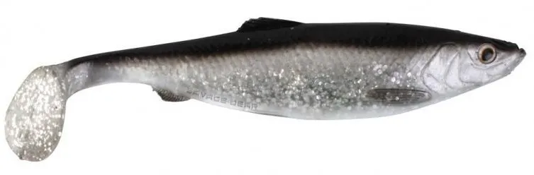 Herring Shad