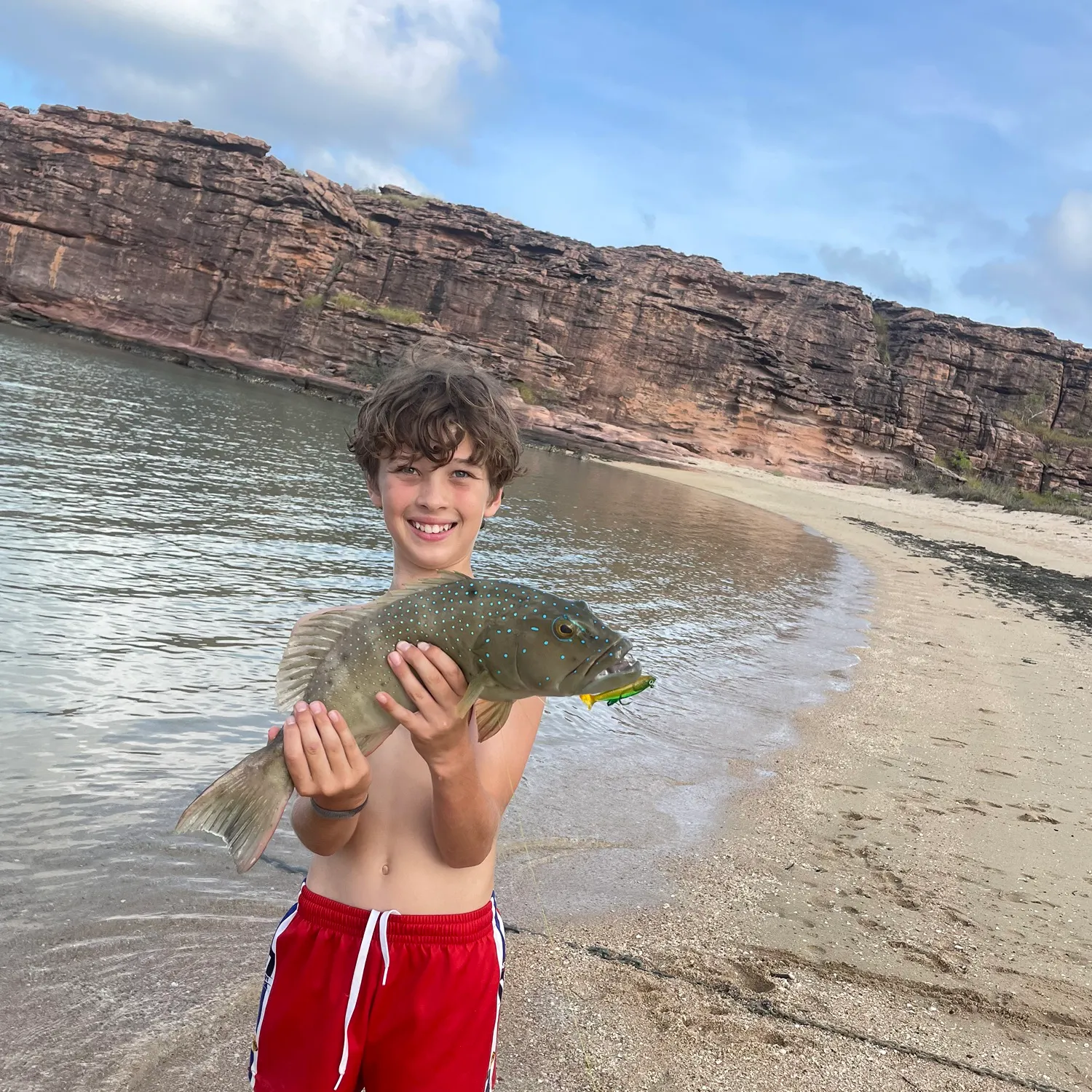 The most recent Spotted coralgrouper catches on Fishbrain