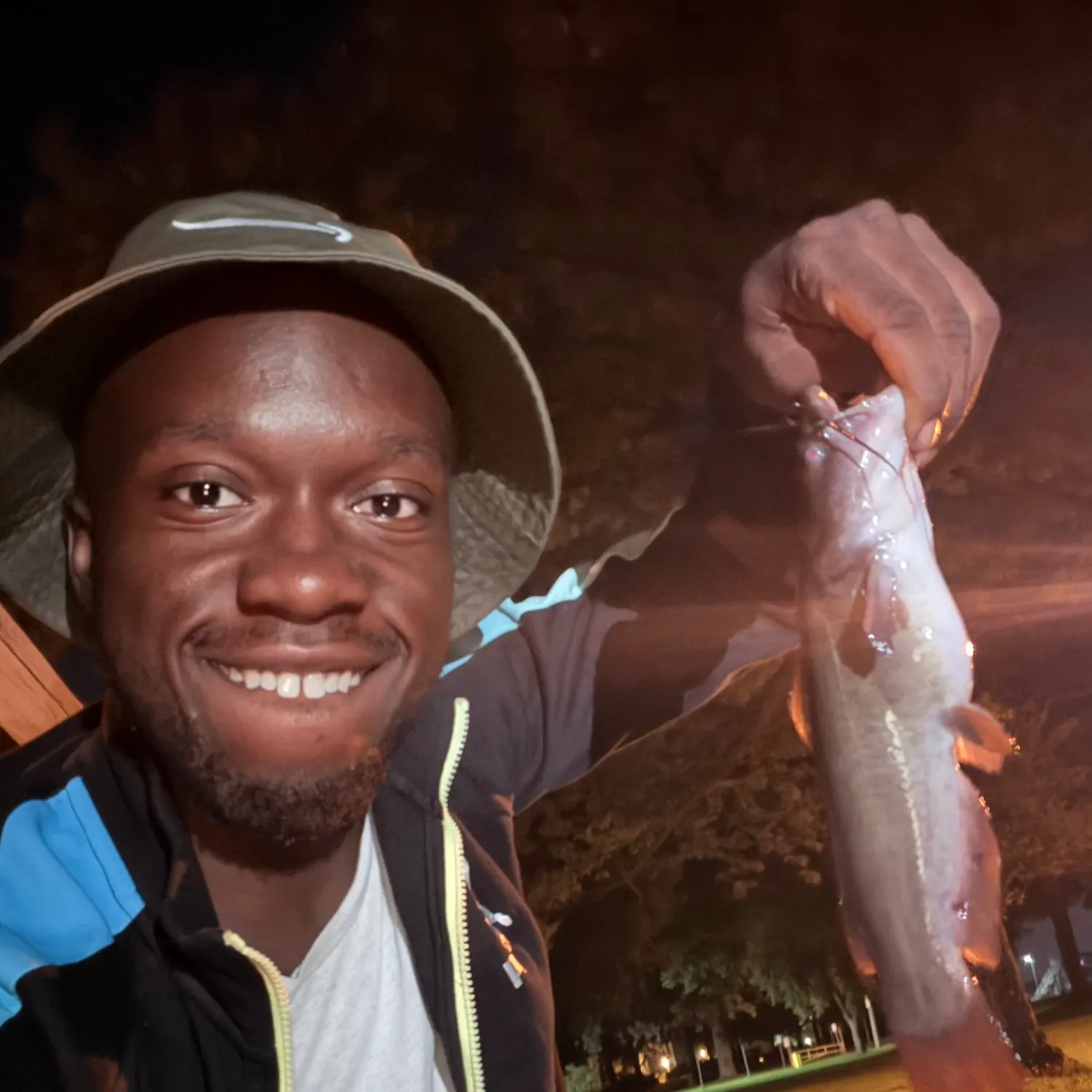 Yellow bullhead caught on Fishbrain