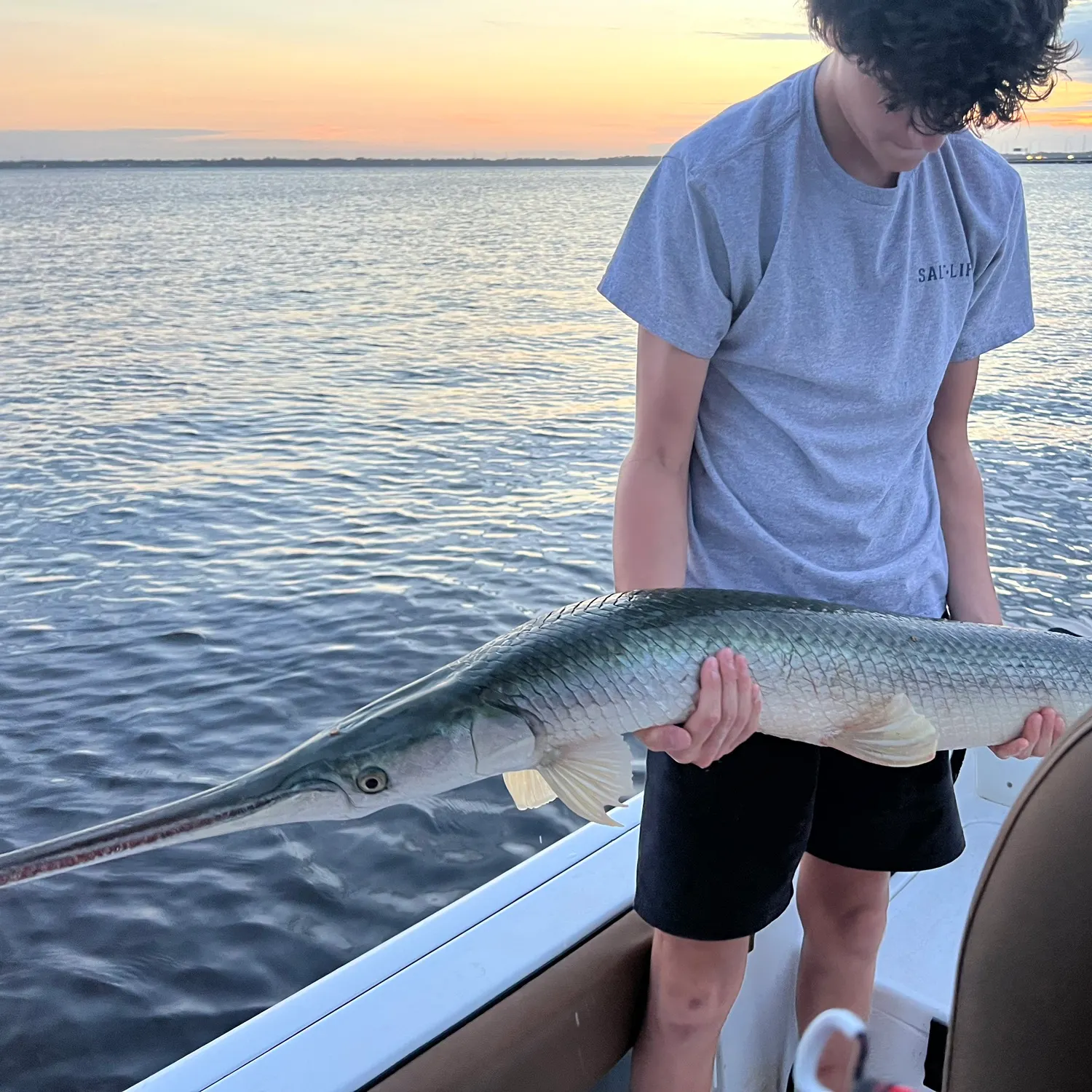 catch