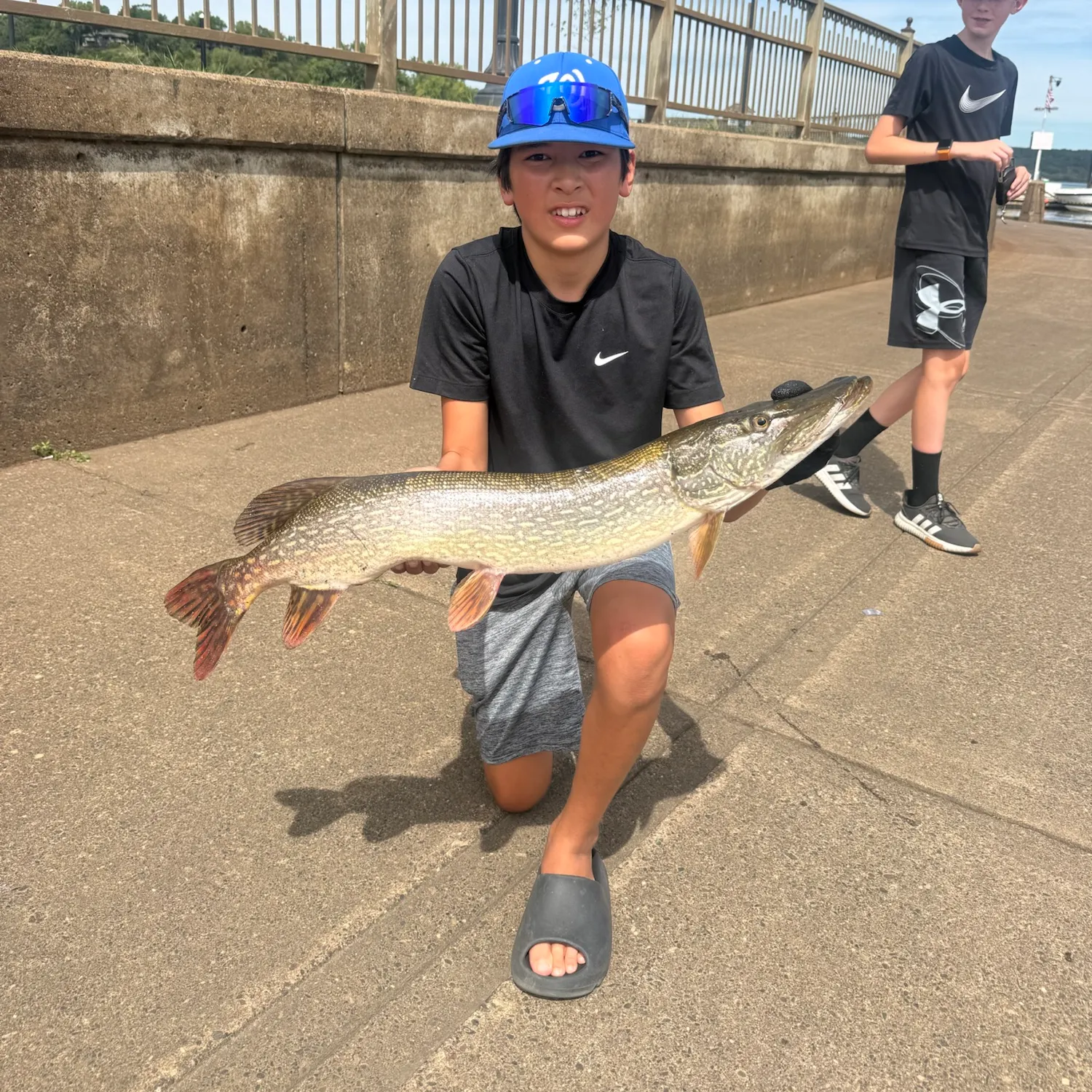 Northern pike caught on Fishbrain