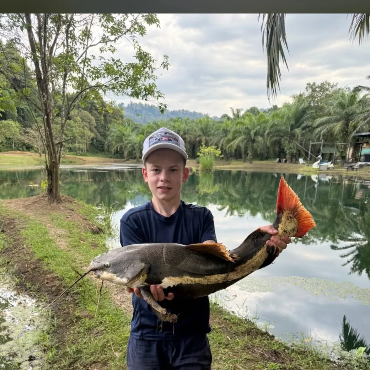 The most recent Redtail catfish catches on Fishbrain