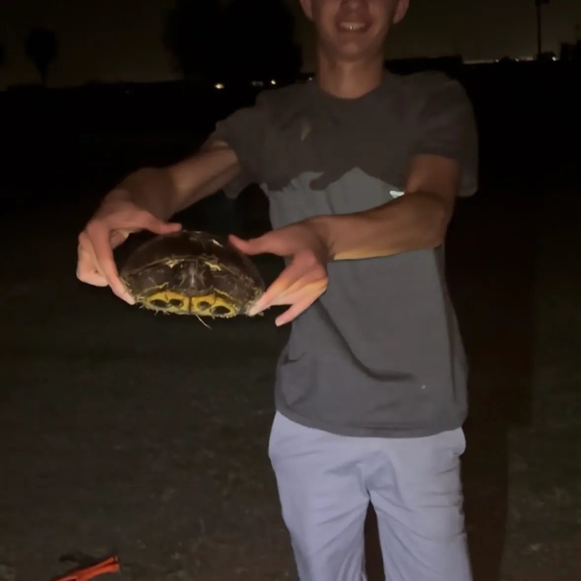The most recent Painted turtle catches on Fishbrain