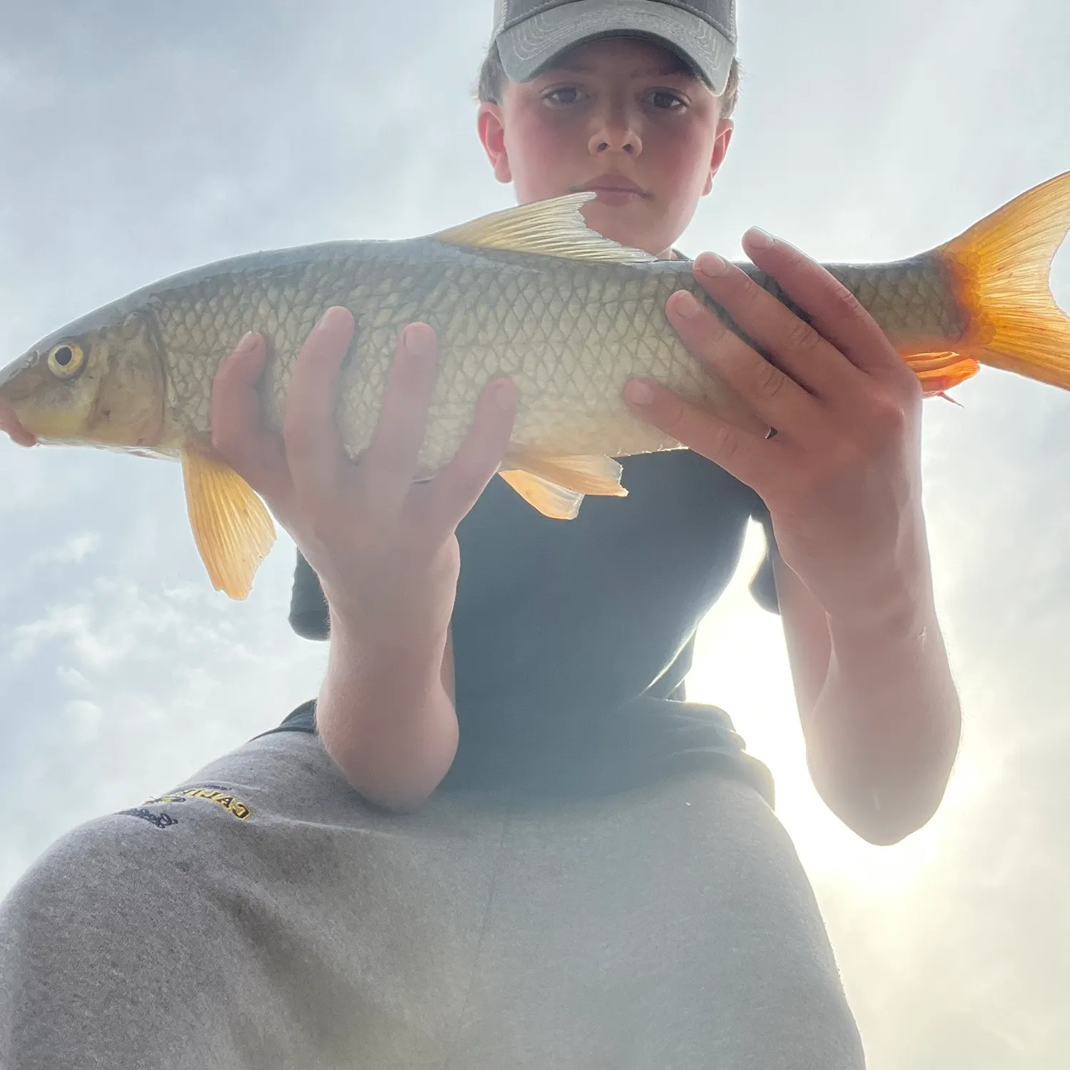 The most recent Copper redhorse catches on Fishbrain
