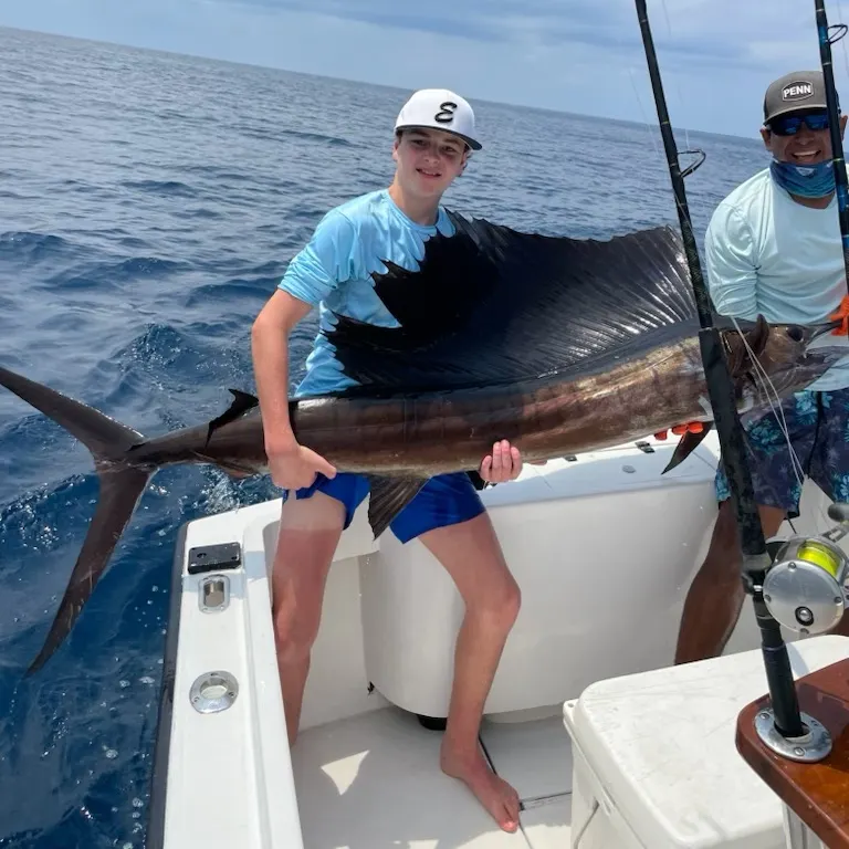 The most recent Indo-Pacific sailfish catches on Fishbrain