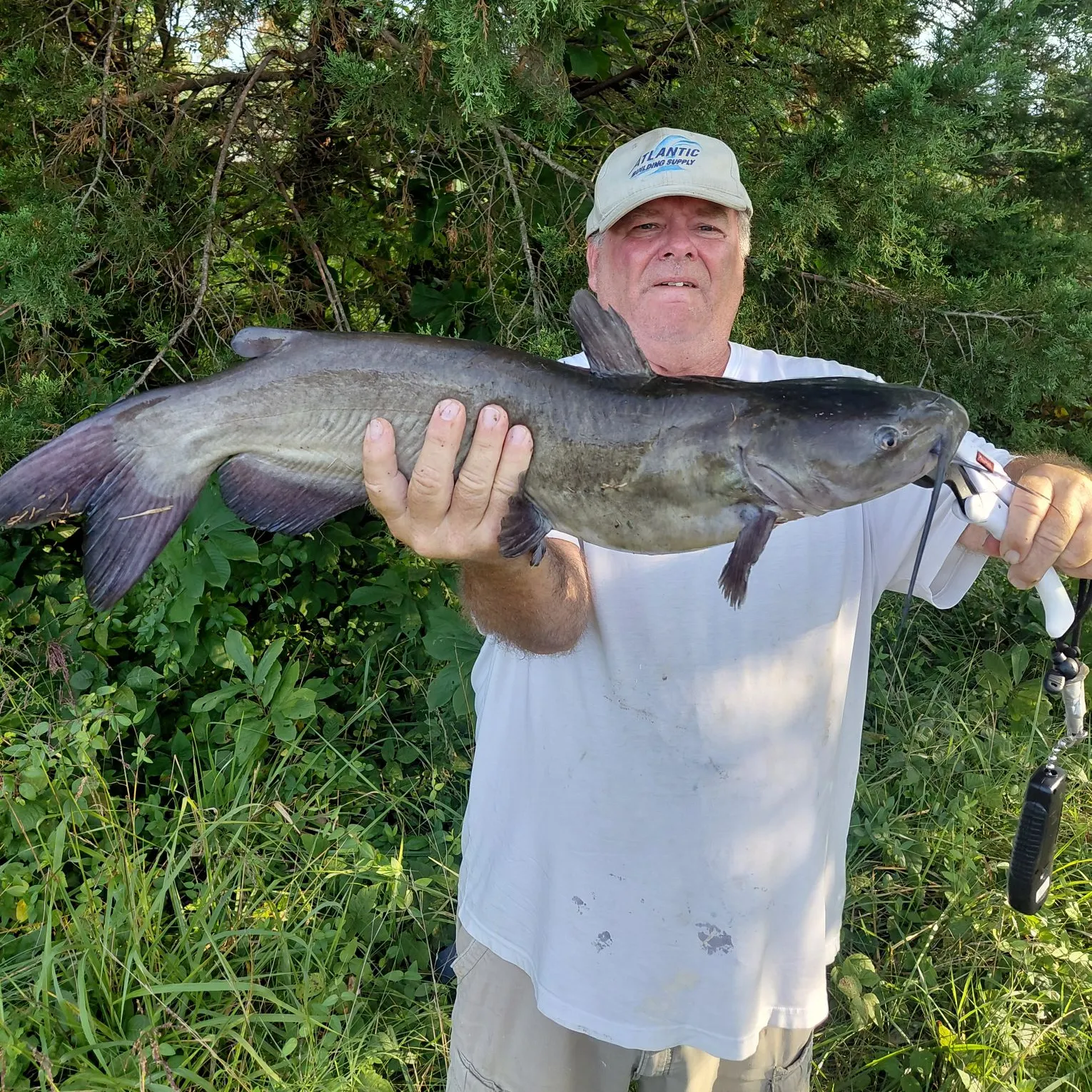 Fish caught on Fishbrain
