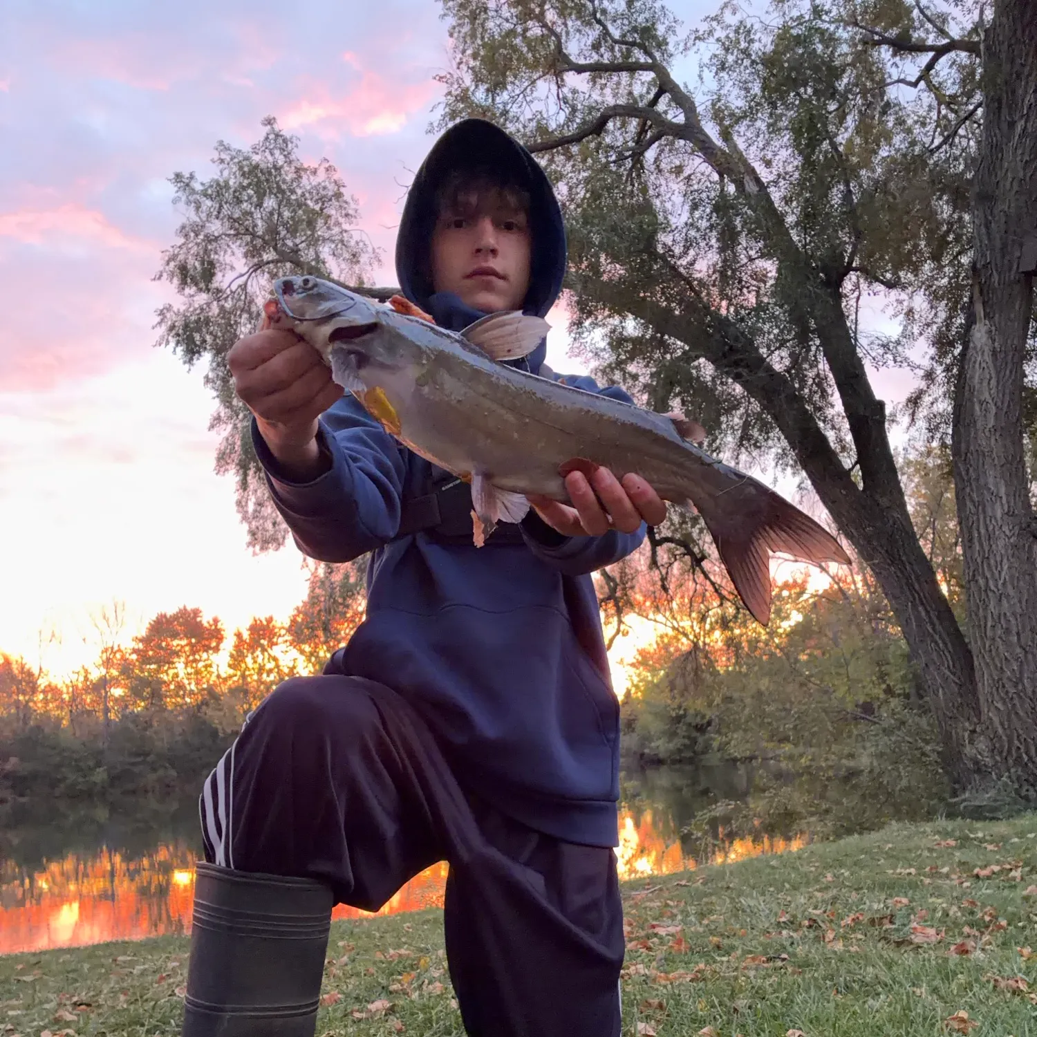 Channel catfish caught on Fishbrain