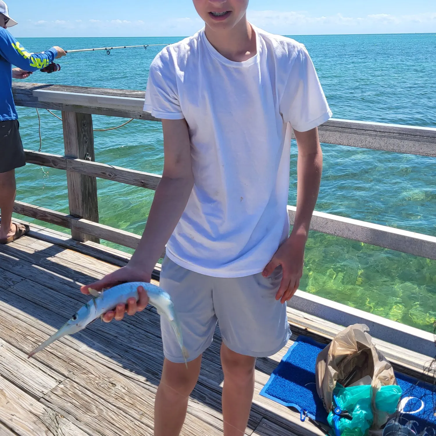 The most recent Atlantic needlefish catches on Fishbrain