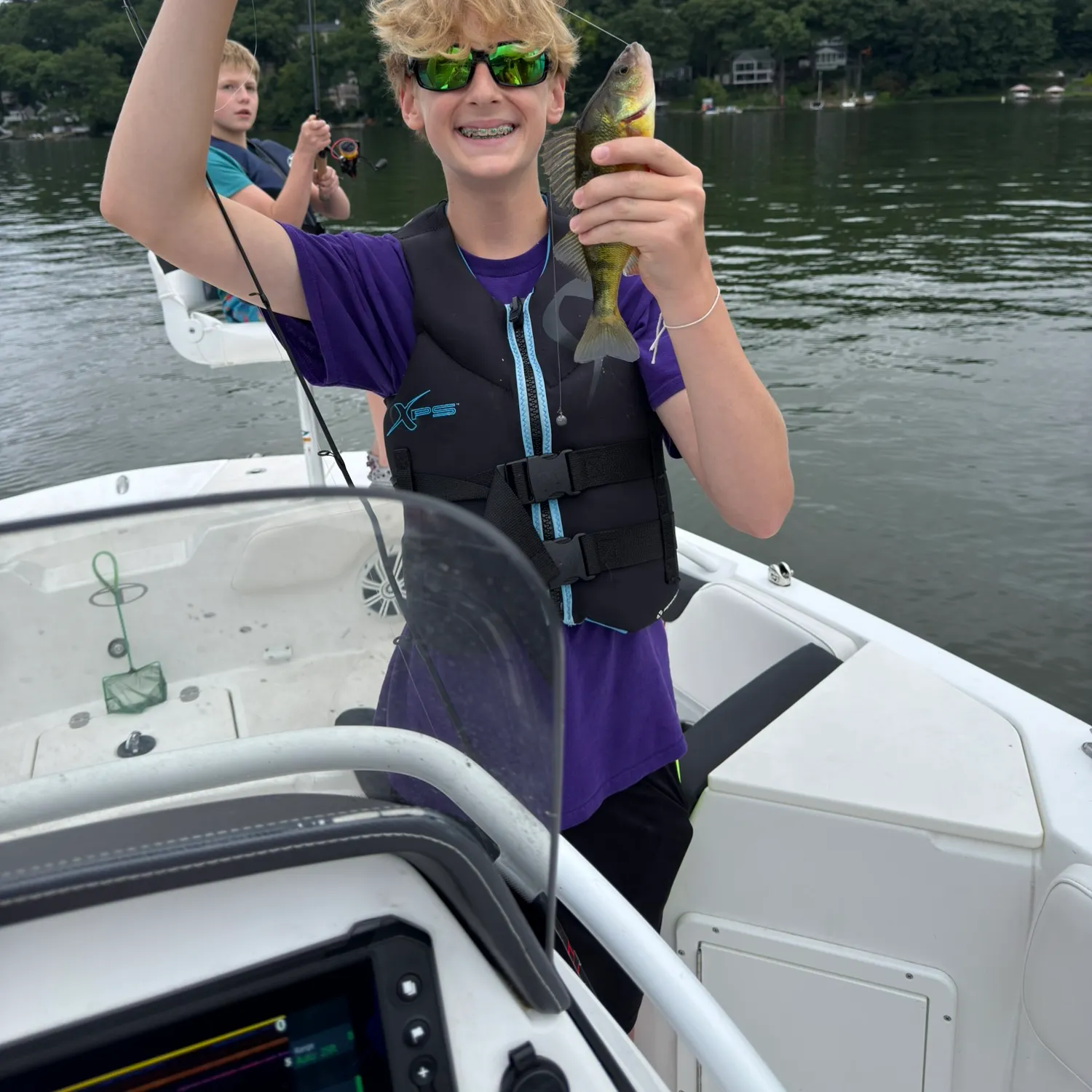 Yellow perch caught on Fishbrain