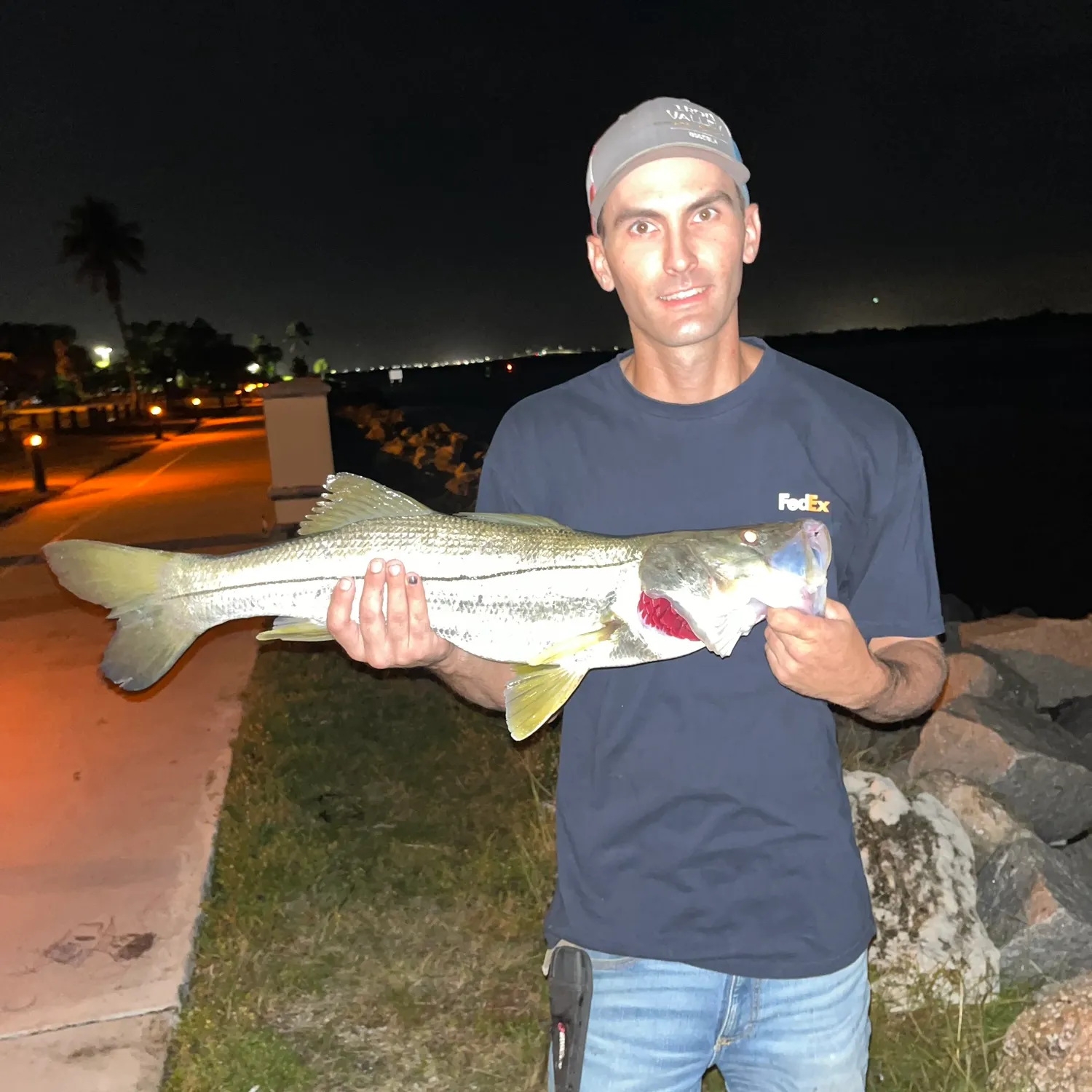 Common snook caught on Fishbrain