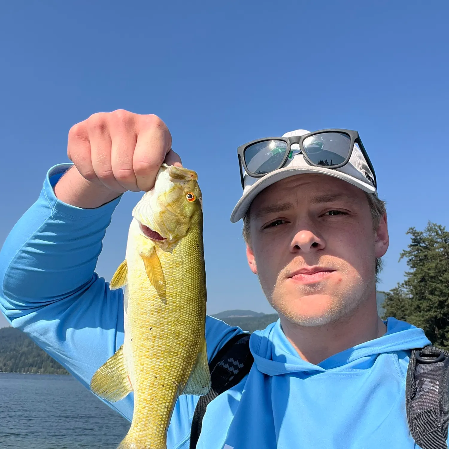 Smallmouth bass caught on Fishbrain
