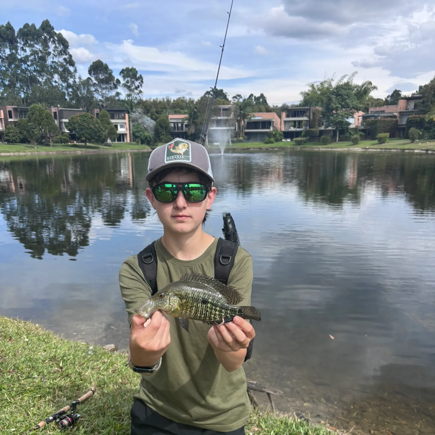 The most recent Turquoise cichlid catches on Fishbrain