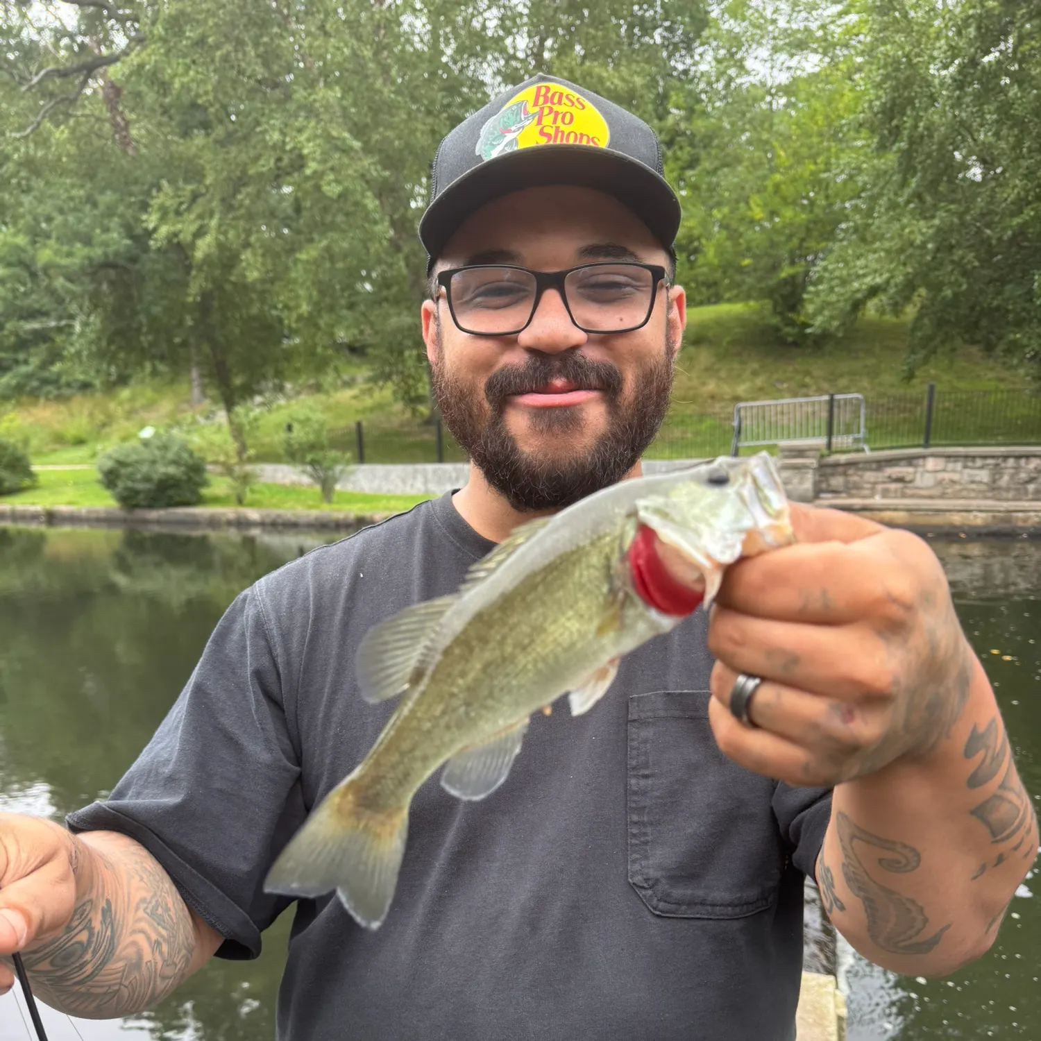 Largemouth bass caught on Fishbrain