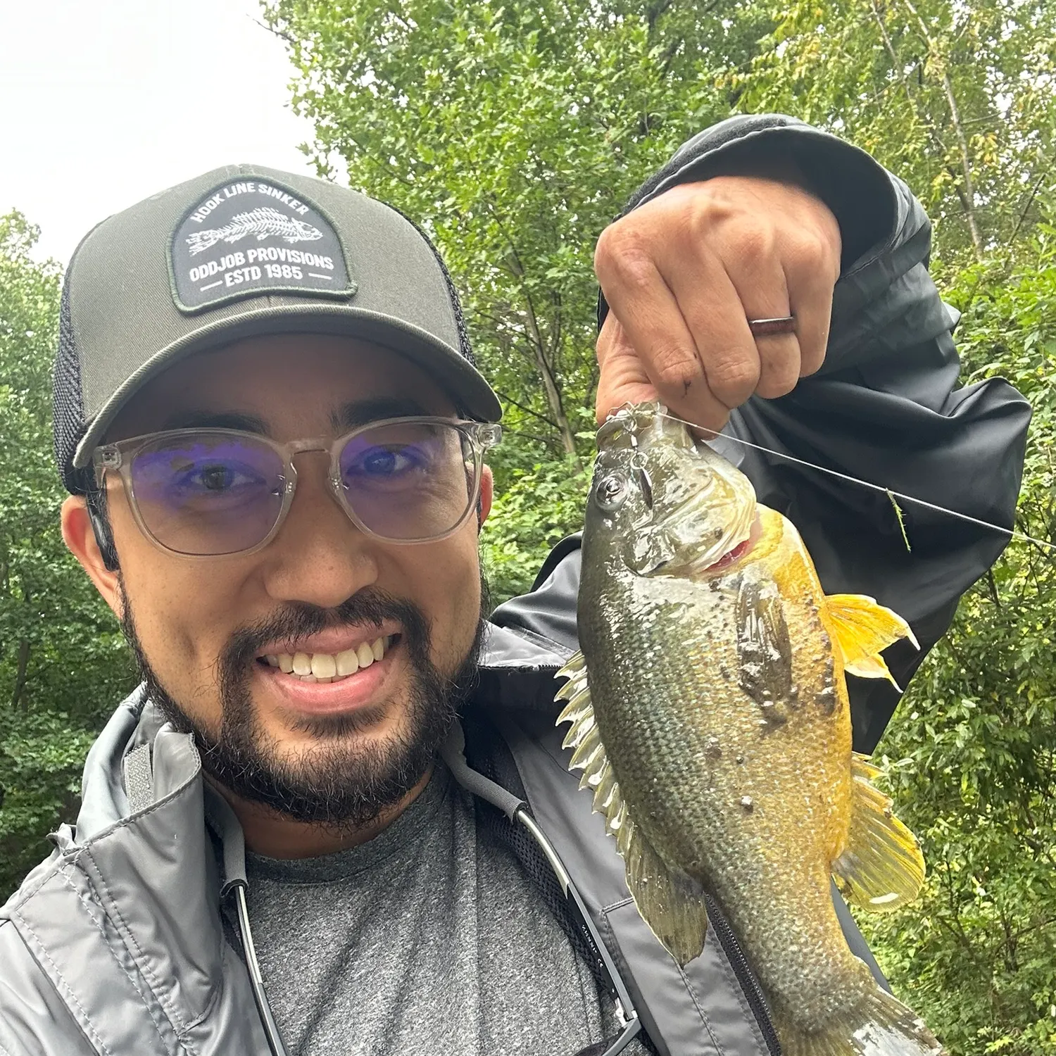 Green sunfish caught on Fishbrain