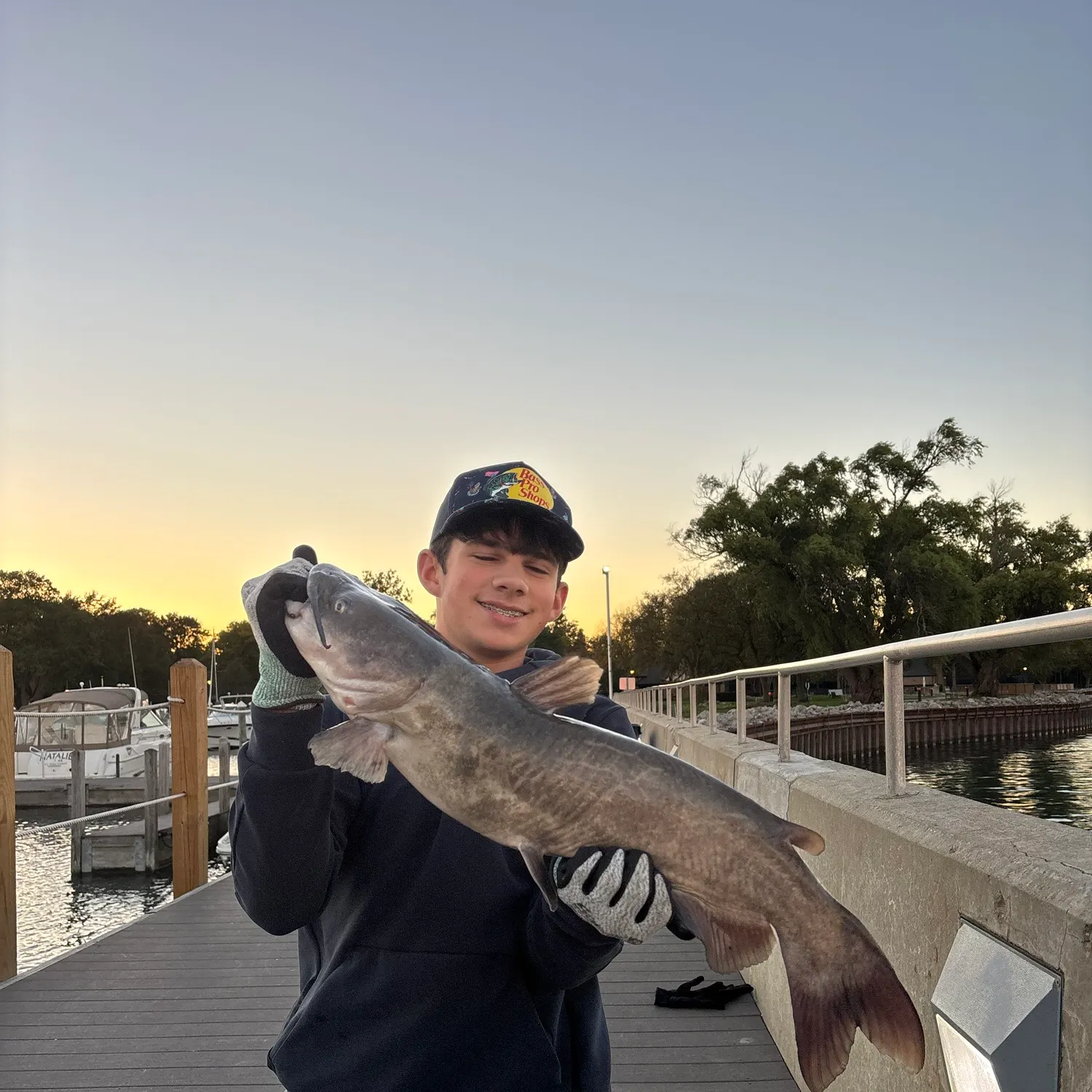 Channel catfish caught on Fishbrain