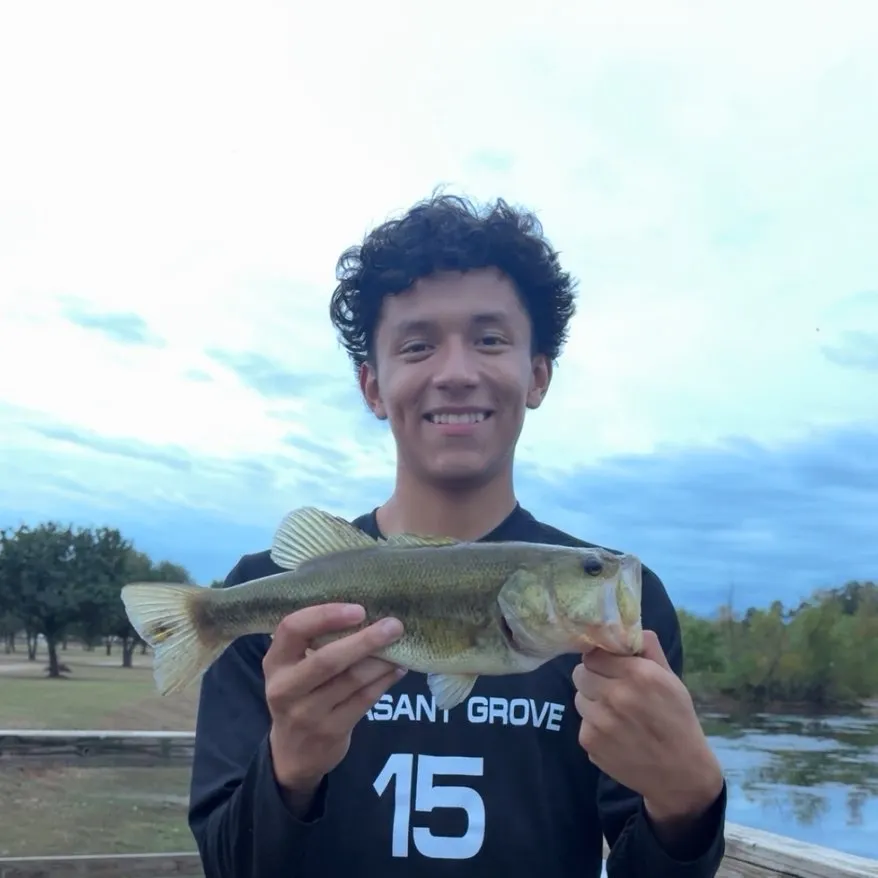 Spotted bass caught on Fishbrain
