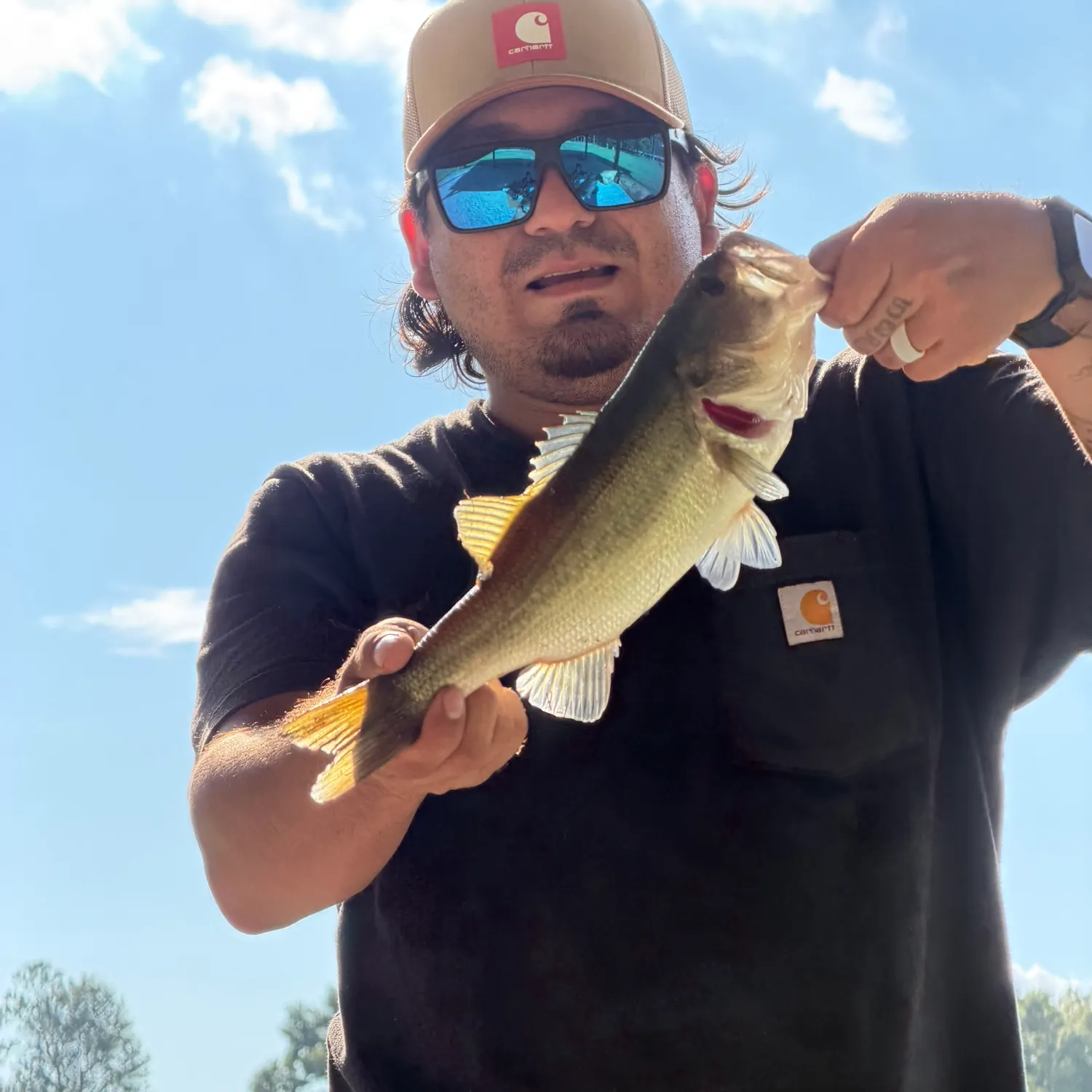 Largemouth bass caught on Fishbrain