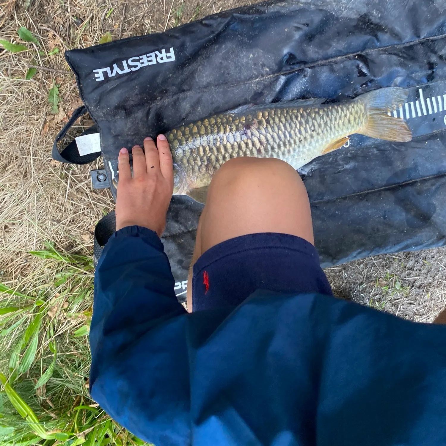 Common carp caught on Fishbrain