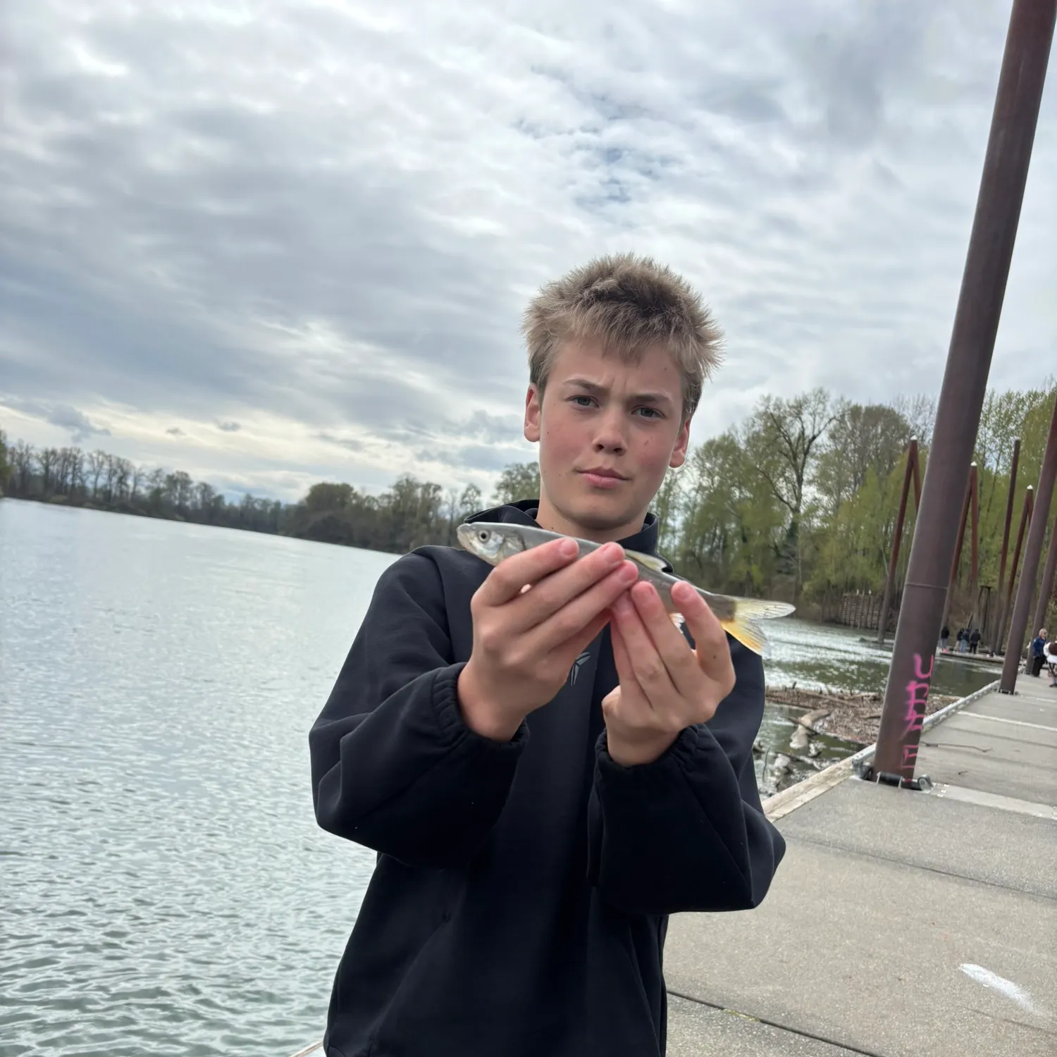 The most recent Northern pikeminnow catches on Fishbrain