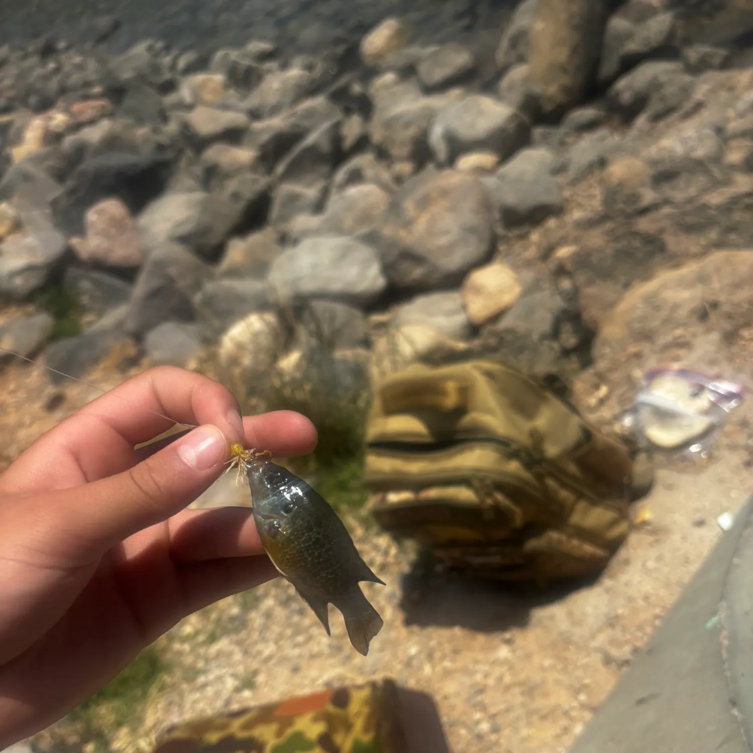 catch