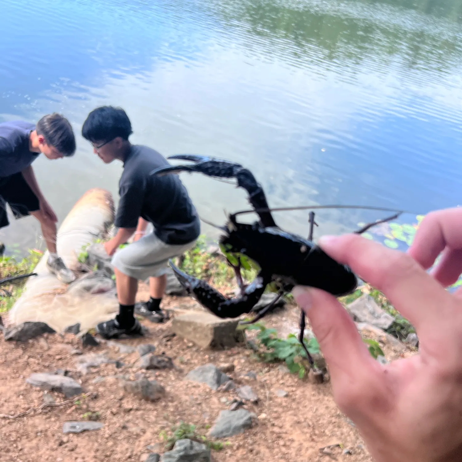 catch