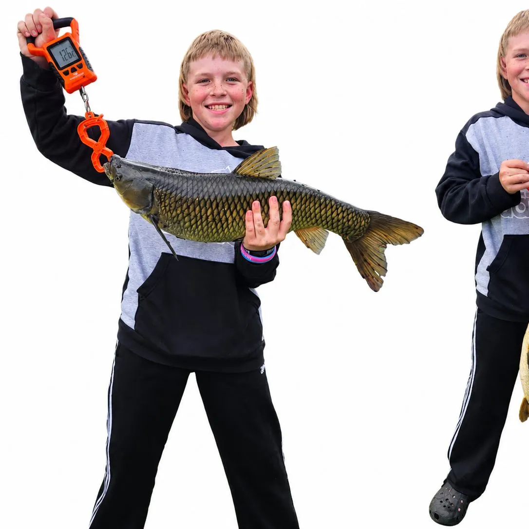 Common carp caught on Fishbrain